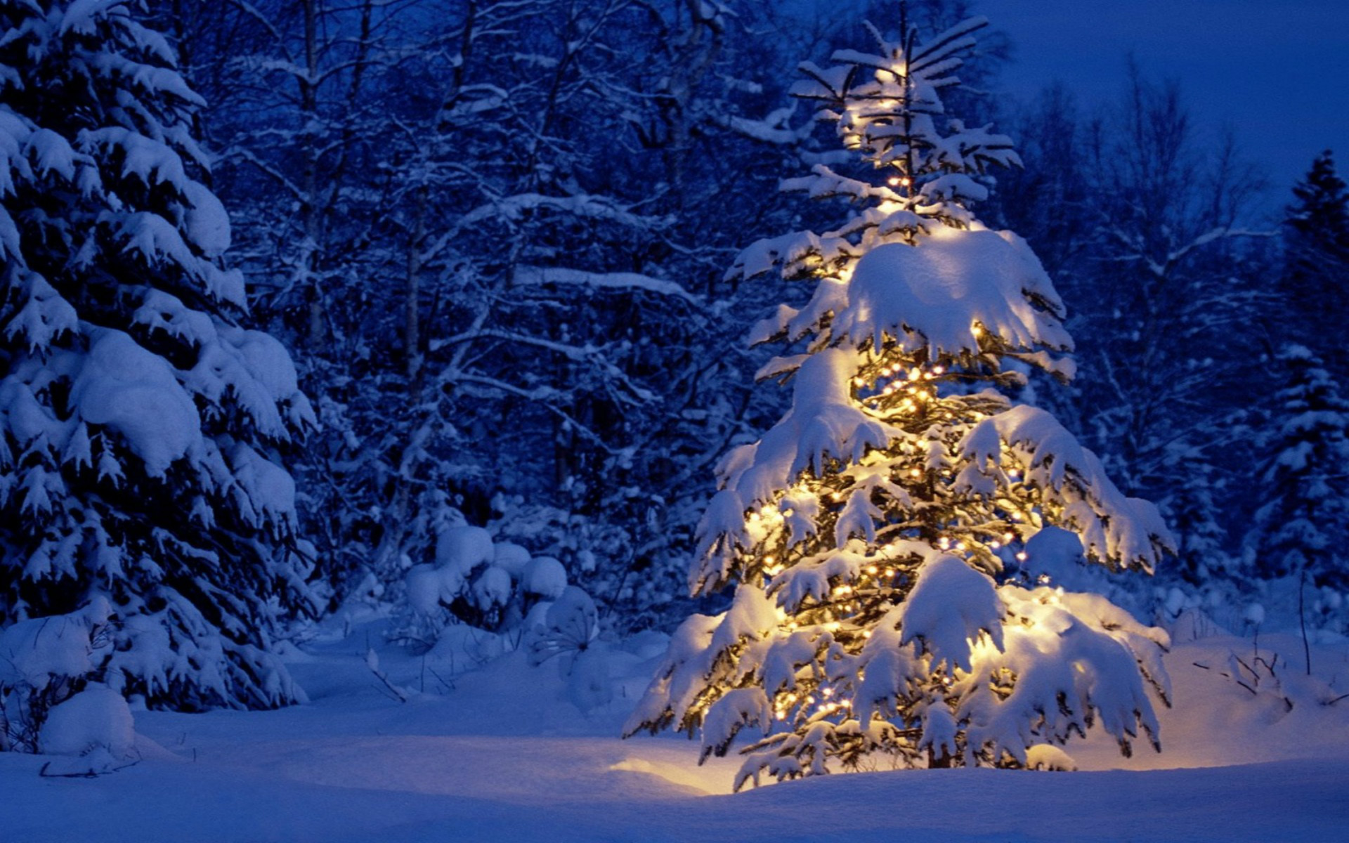 Snow Christmas Wallpaper 63 Pictures WallpaperSet
