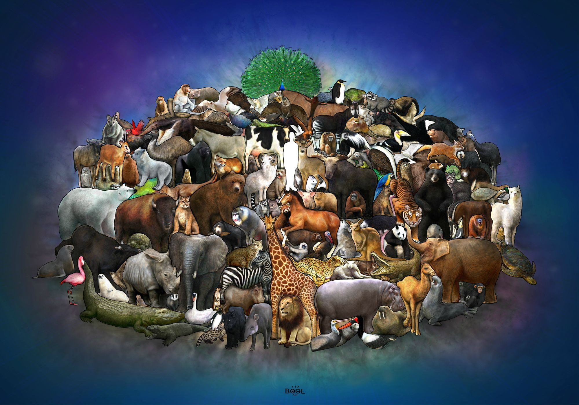 Огромное многообразие. Много зверей. Много разных животных. Множество домашних животных. Много животных на одной картинке.