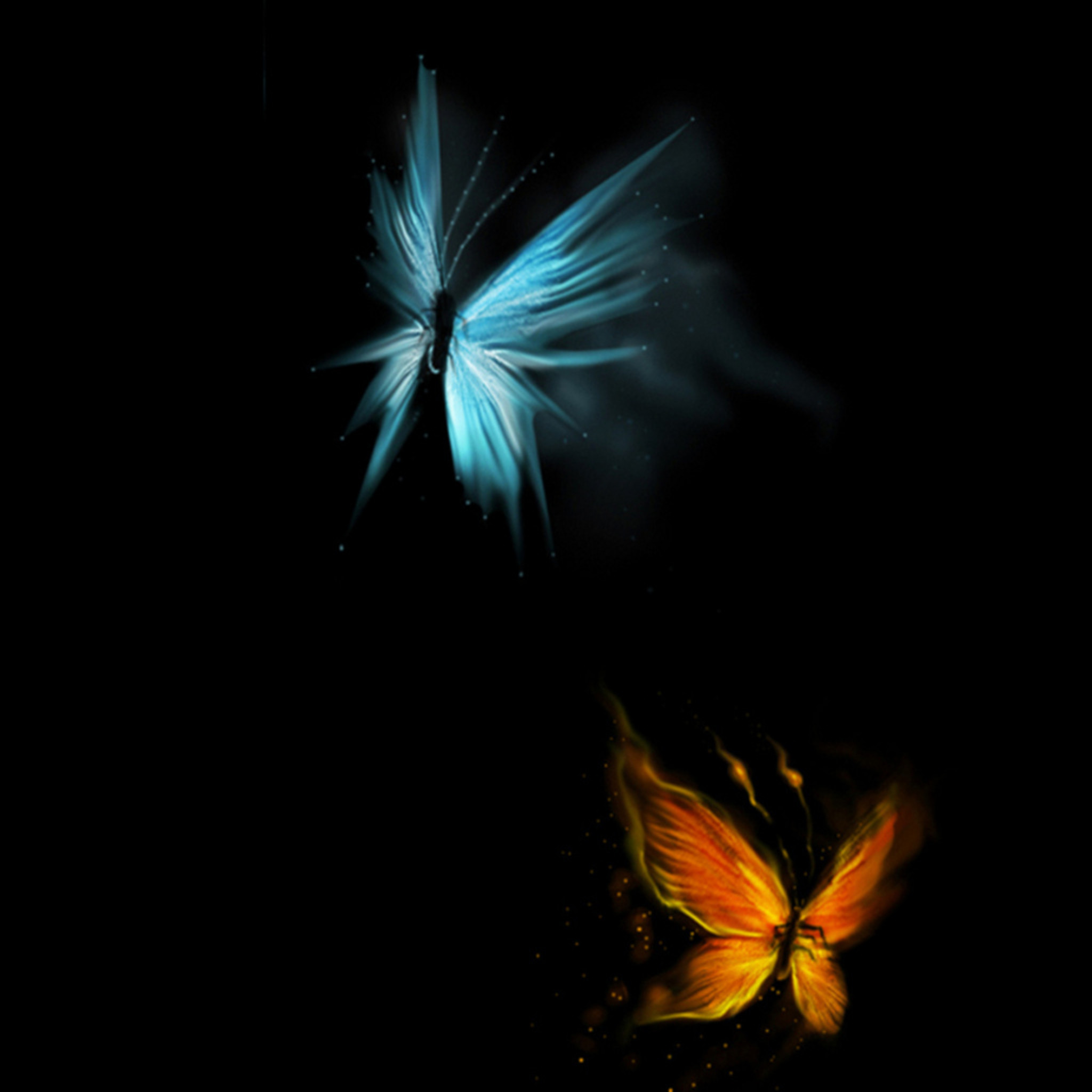 Butterfly Black Background (58+ pictures)