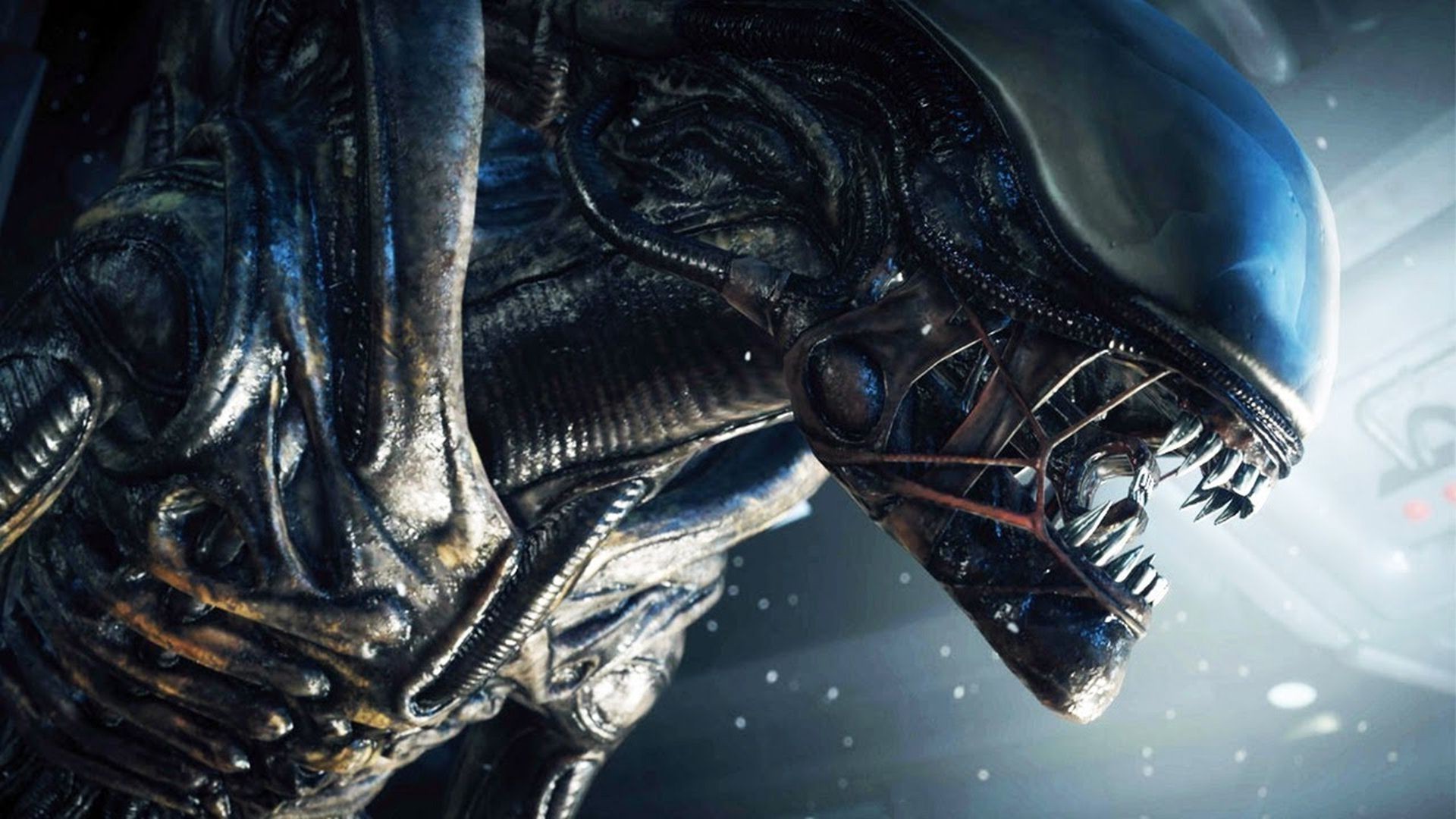 Movies predators Aliens wallpaper, 1920x1080, 181756