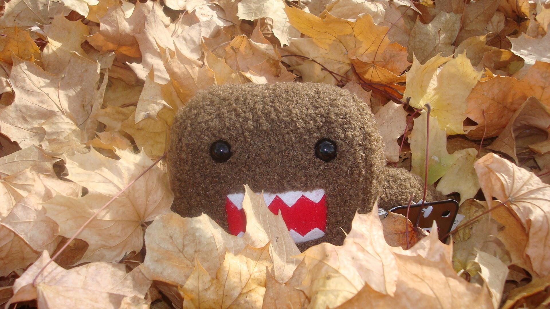 Domo Wallpaper (64+ pictures)