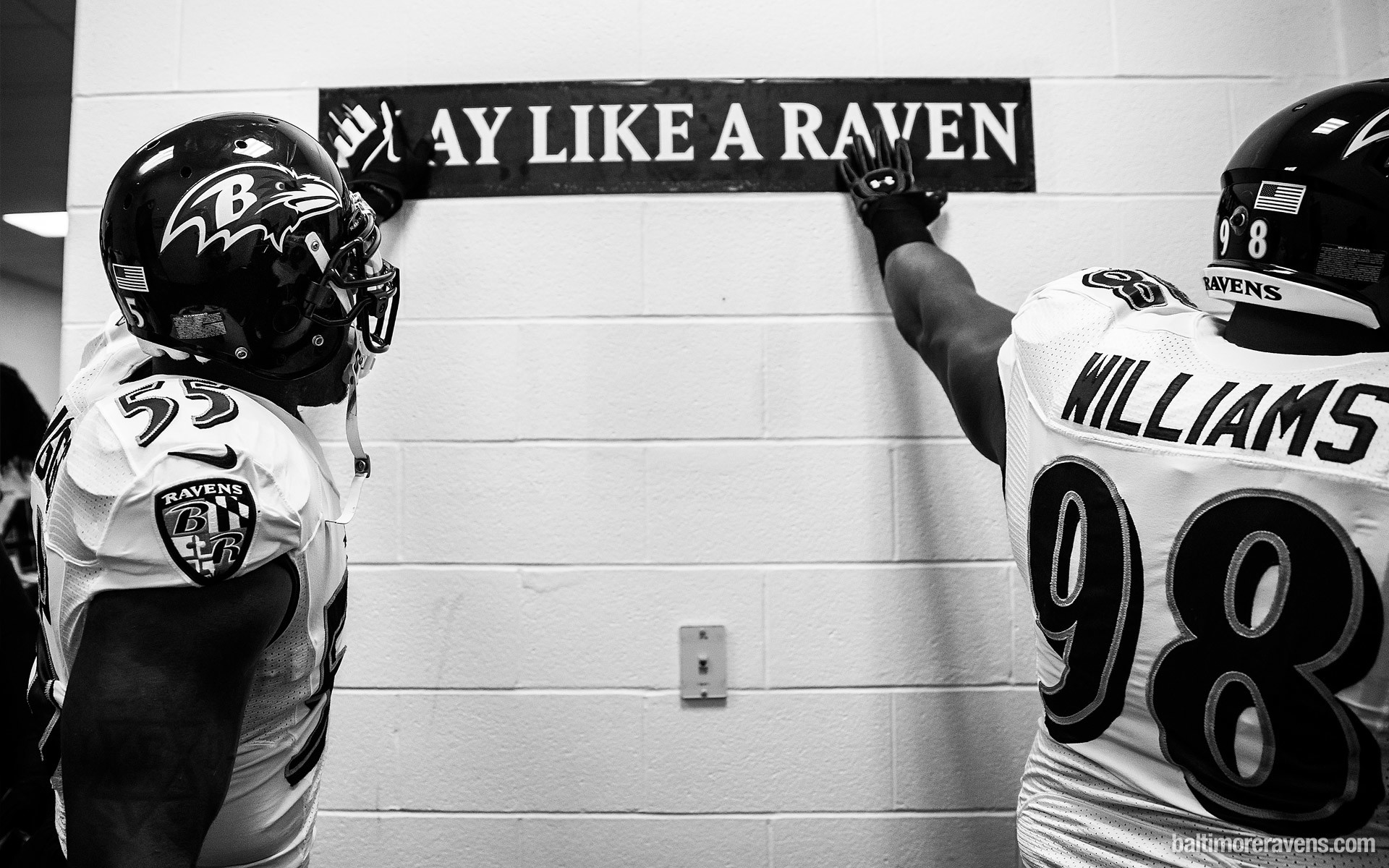 Ravens Wallpapers  Baltimore Ravens –