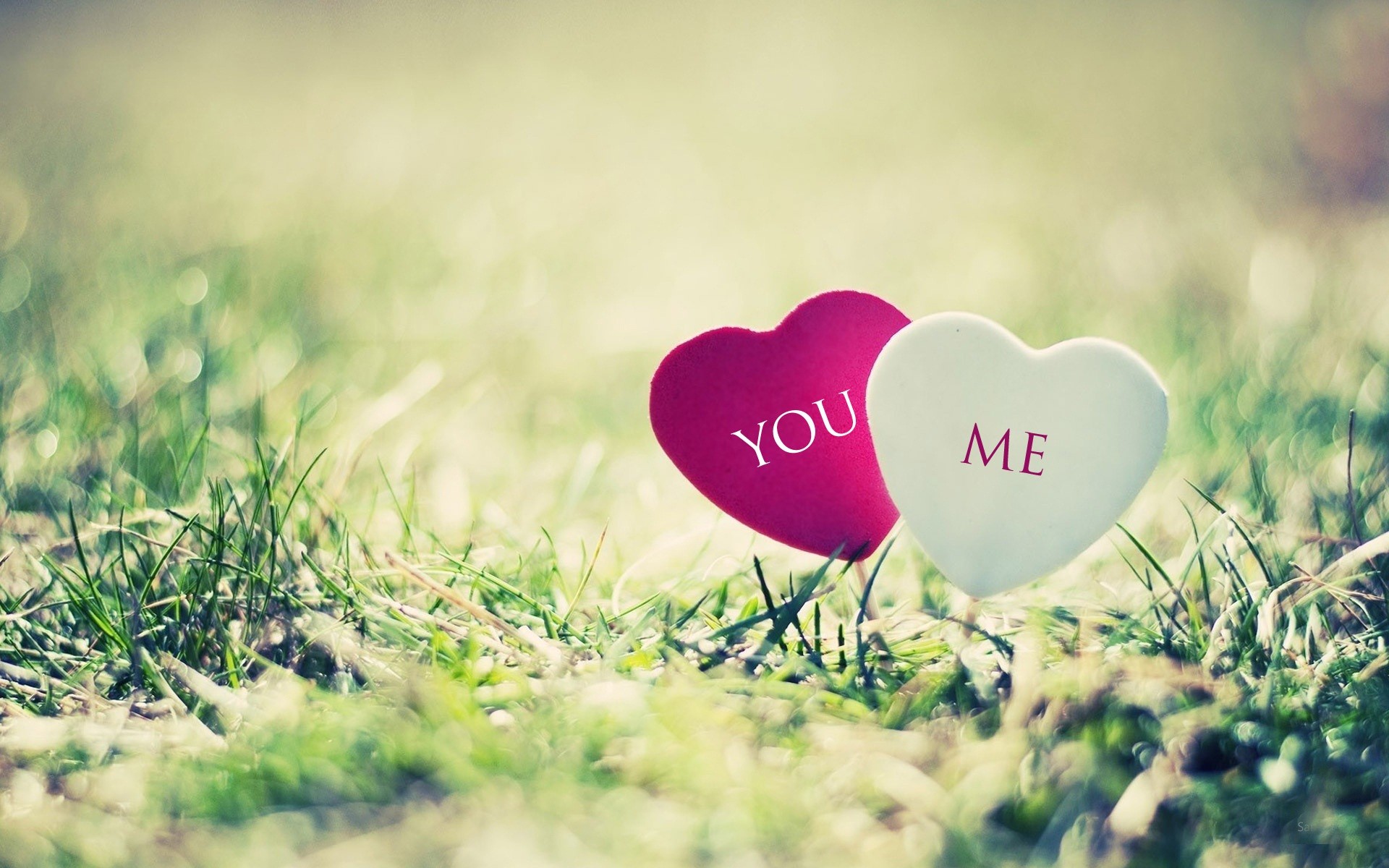 Free HD I Love You Wallpapers Cute I Love You Images 1920x1200