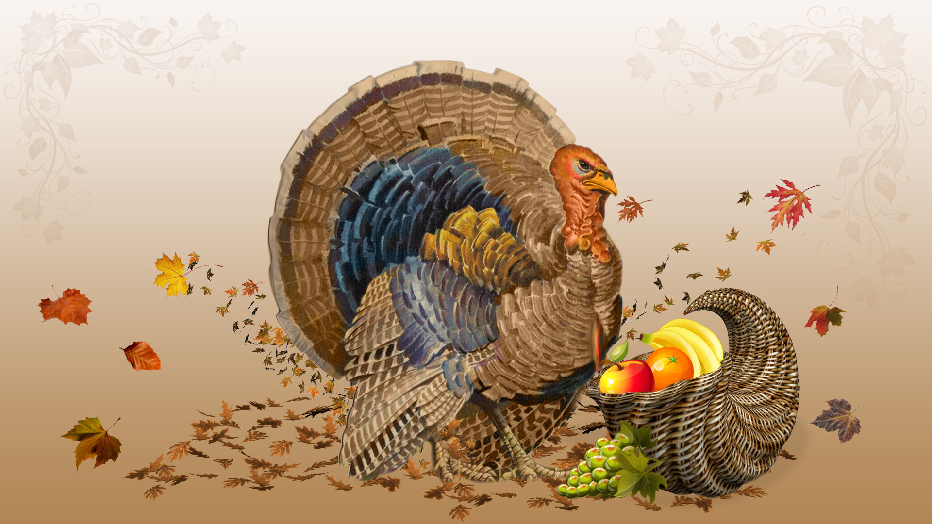 Happy thanksgiving 2012 turkey Wallpaper HD 1920x1080