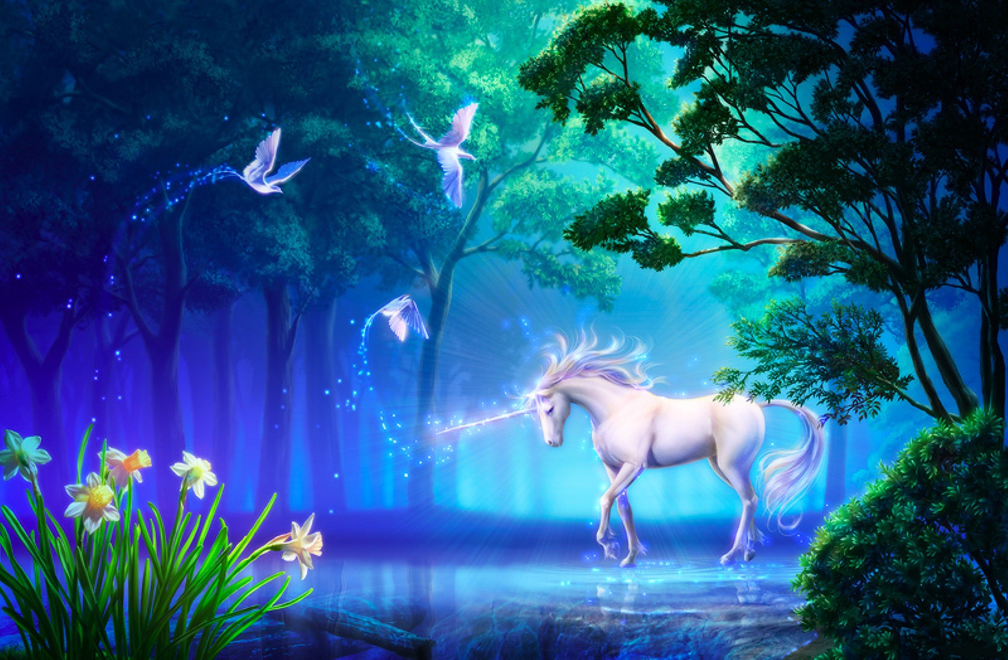 unicorns and rainbows desktop