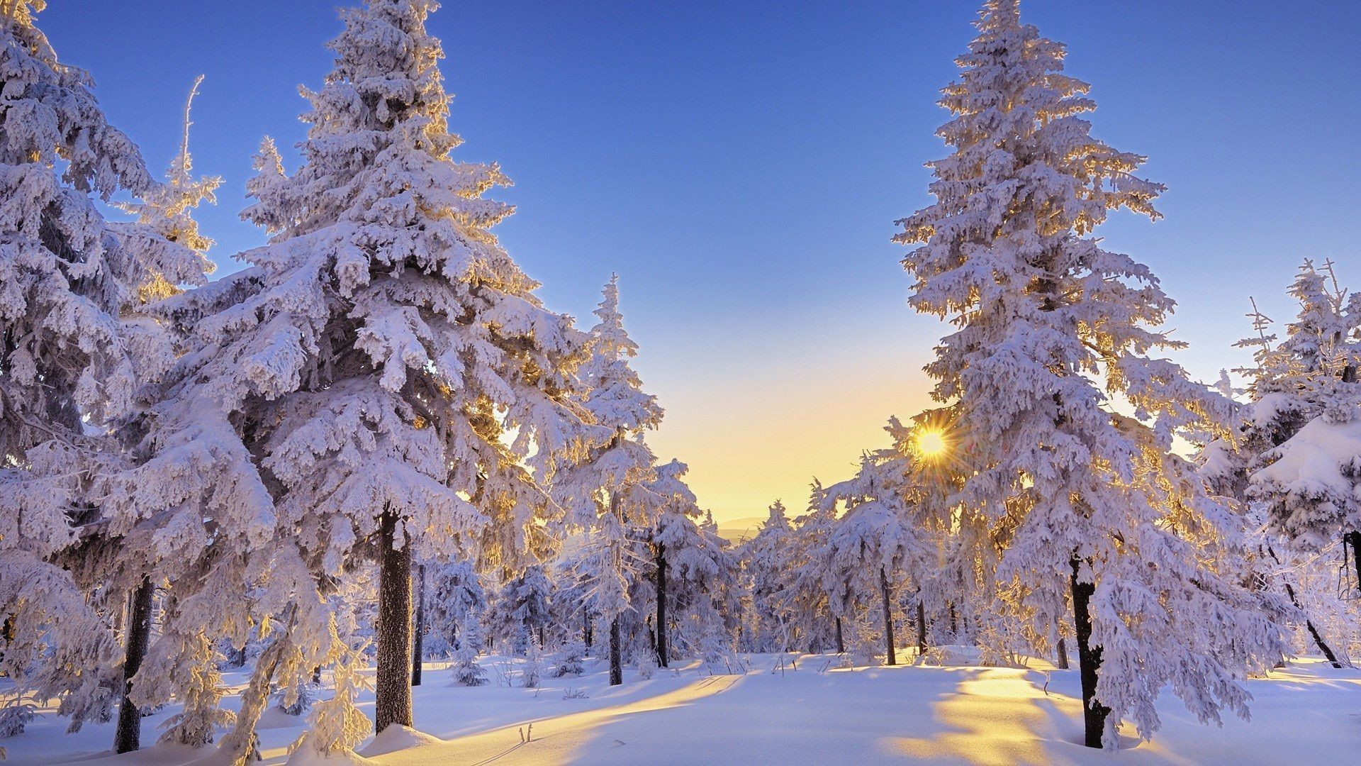 Winter Backgrounds for Desktop (57+ pictures)