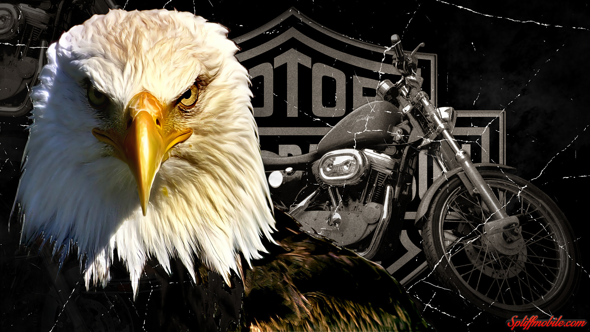 Harley Davidson Logo Wallpaper (63+ pictures)