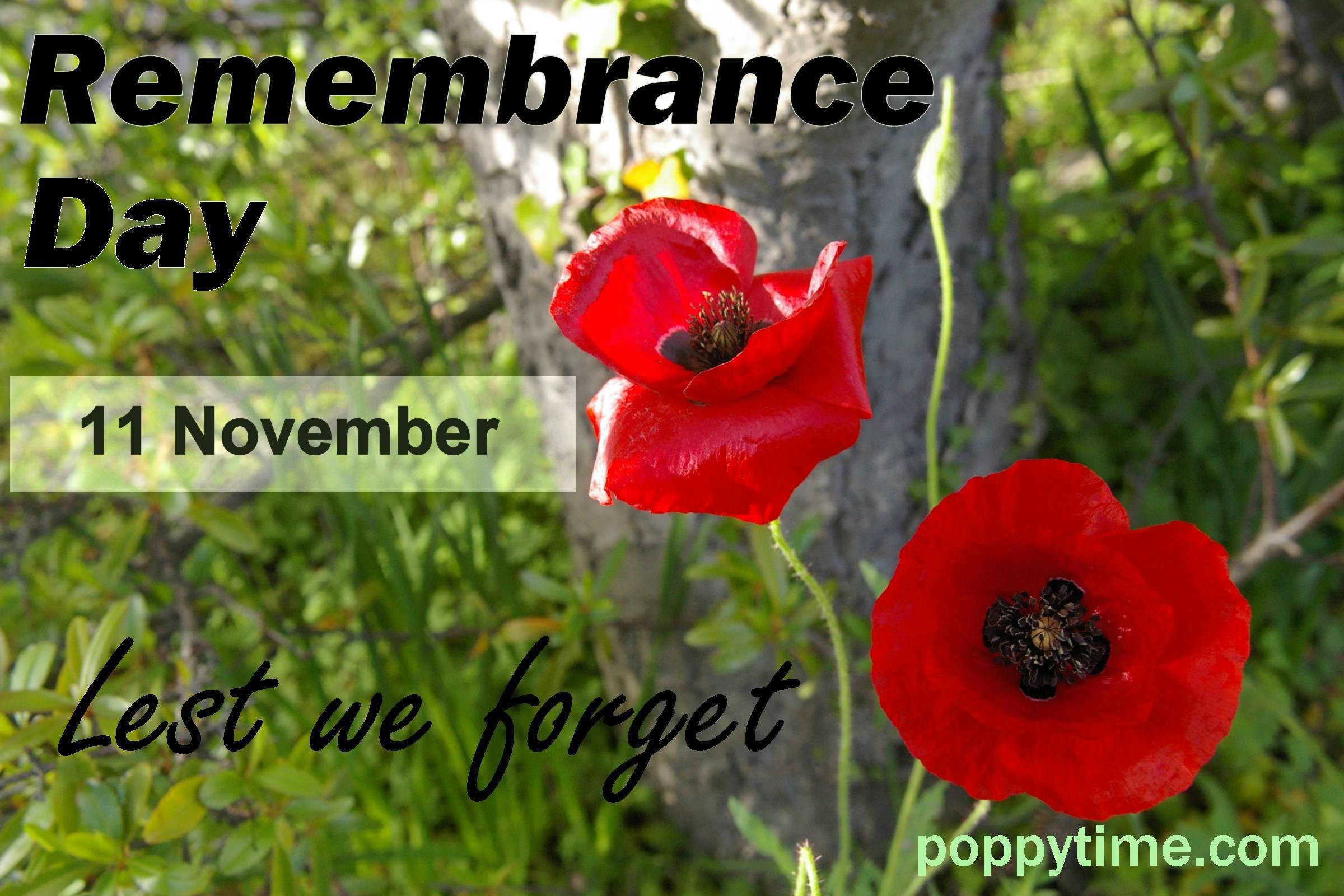 Remembrance Day Wallpaper (59+ pictures)