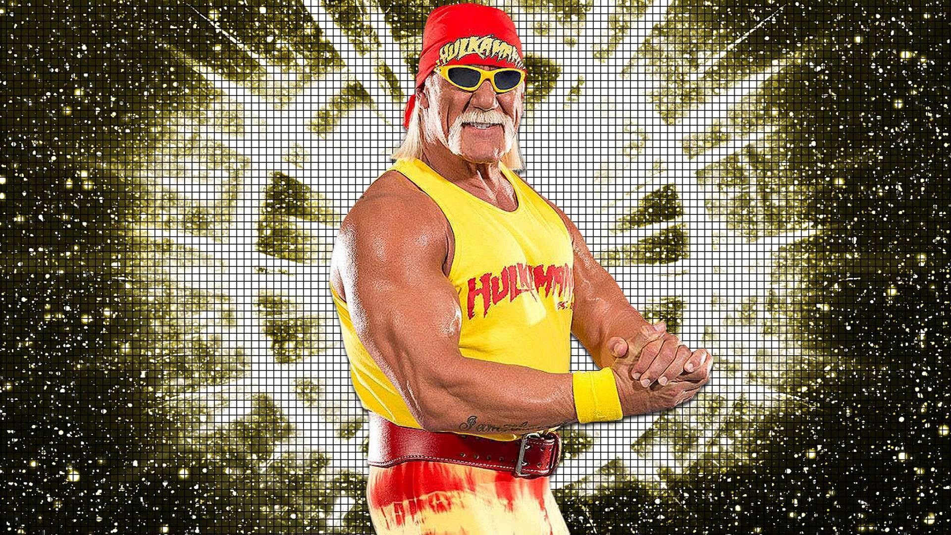 Hulk Hogan Background
