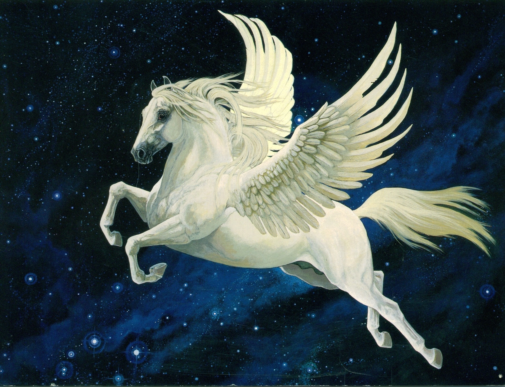 Pictures Pegasus Unicorns Fantasy Magical animals 1920x1080