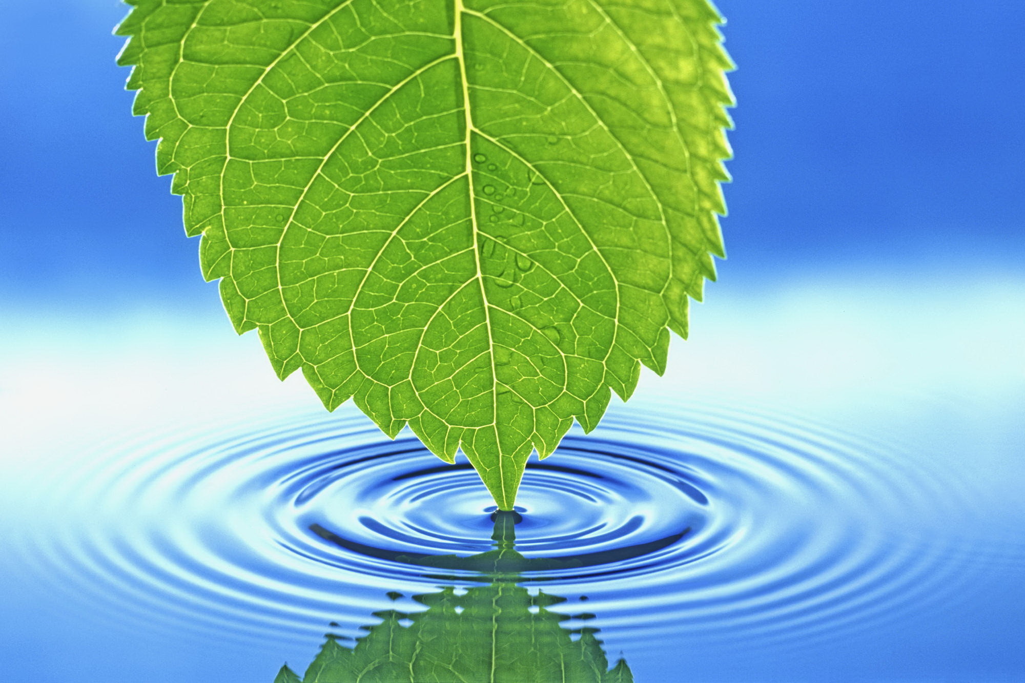 2000x1333 Cool Nature Desktop Backgrounds | Desktop Backgrounds 2000x1333