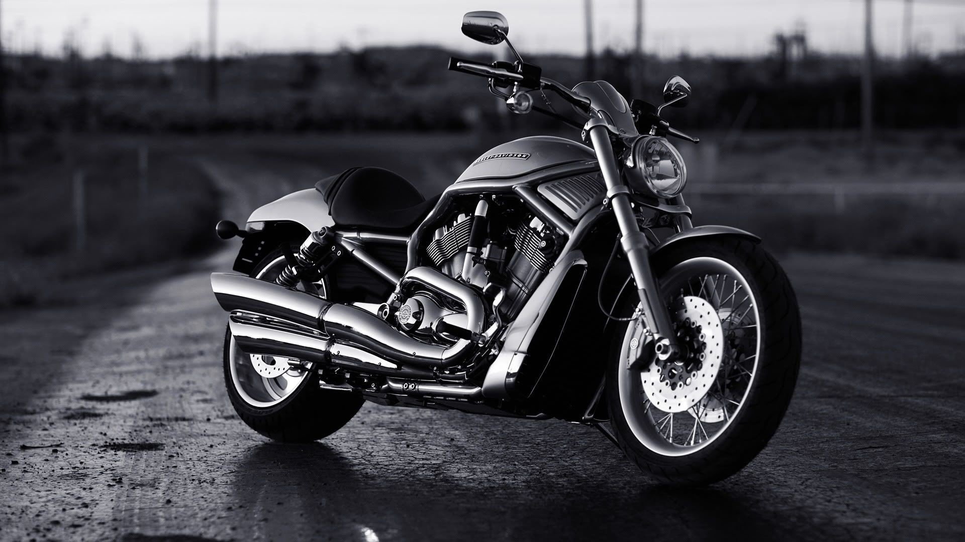 200 Harley Davidson Wallpapers  Wallpaperscom