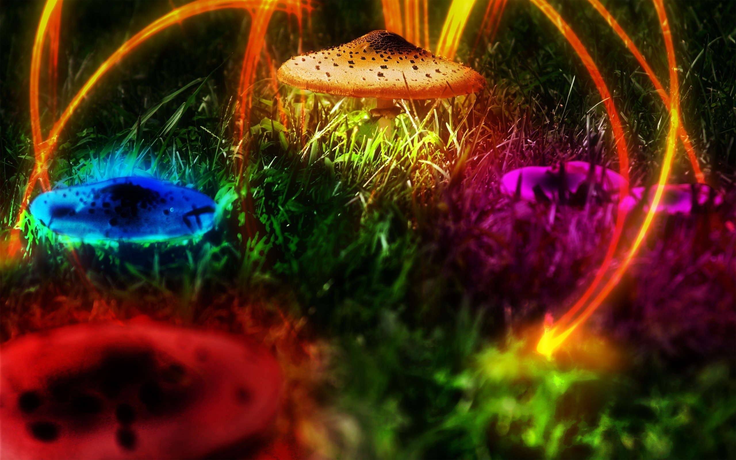 кислотные грибы картинки