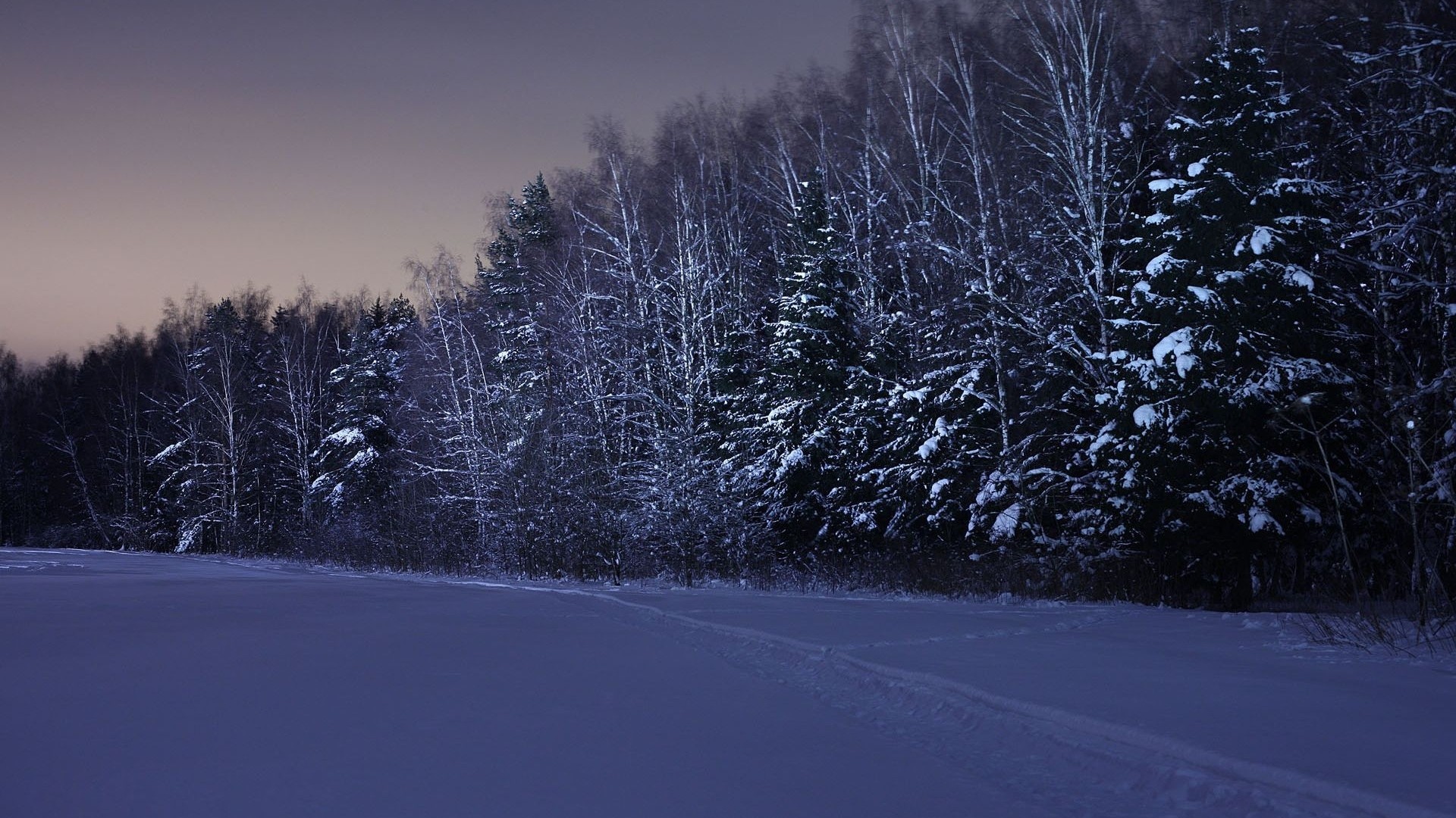 Snowy Night Wallpaper (69+ pictures)