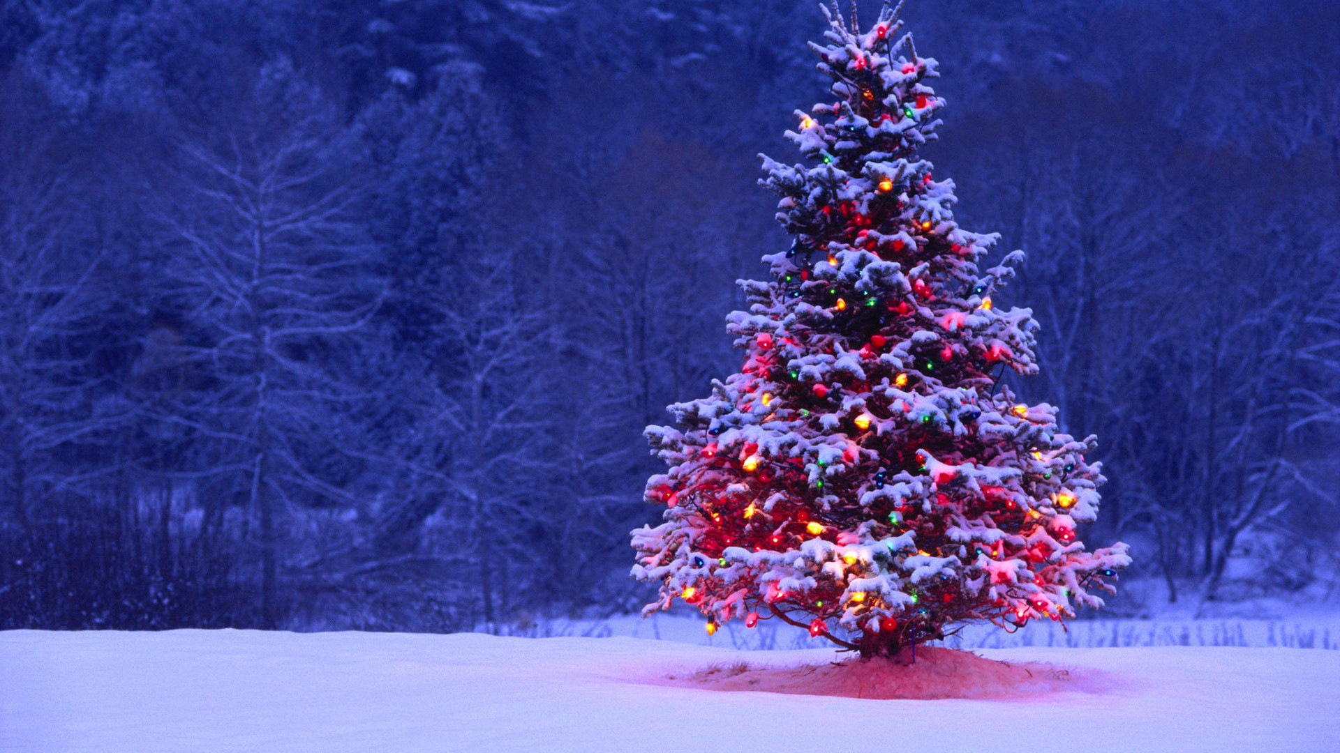 Christmas Snow Wallpaper Desktop ... 1920x1080