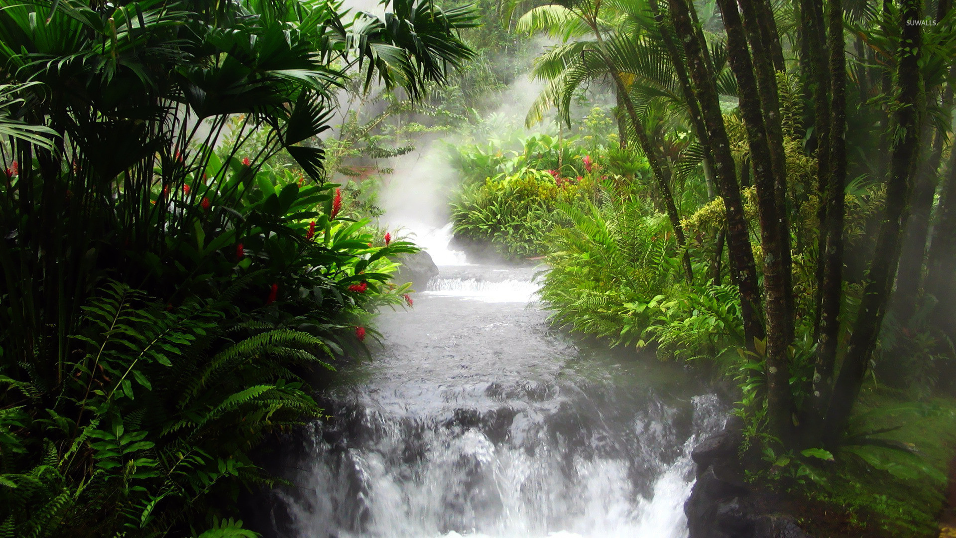 Waterfall in the jungle wallpaper 1920x1080