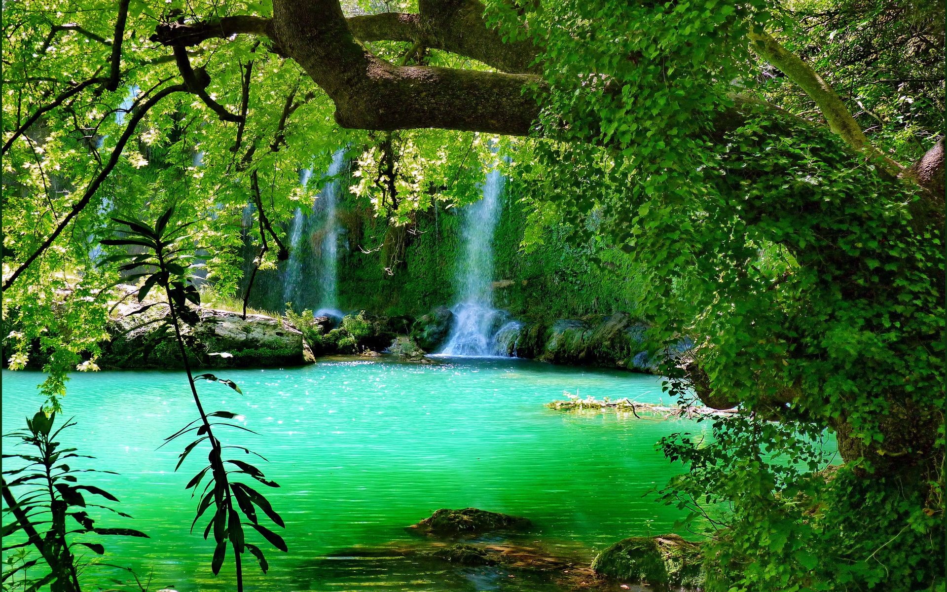 Waterfall From Rock Green Trees Bushes Forest Background HD Nature  Wallpapers | HD Wallpapers | ID #99334