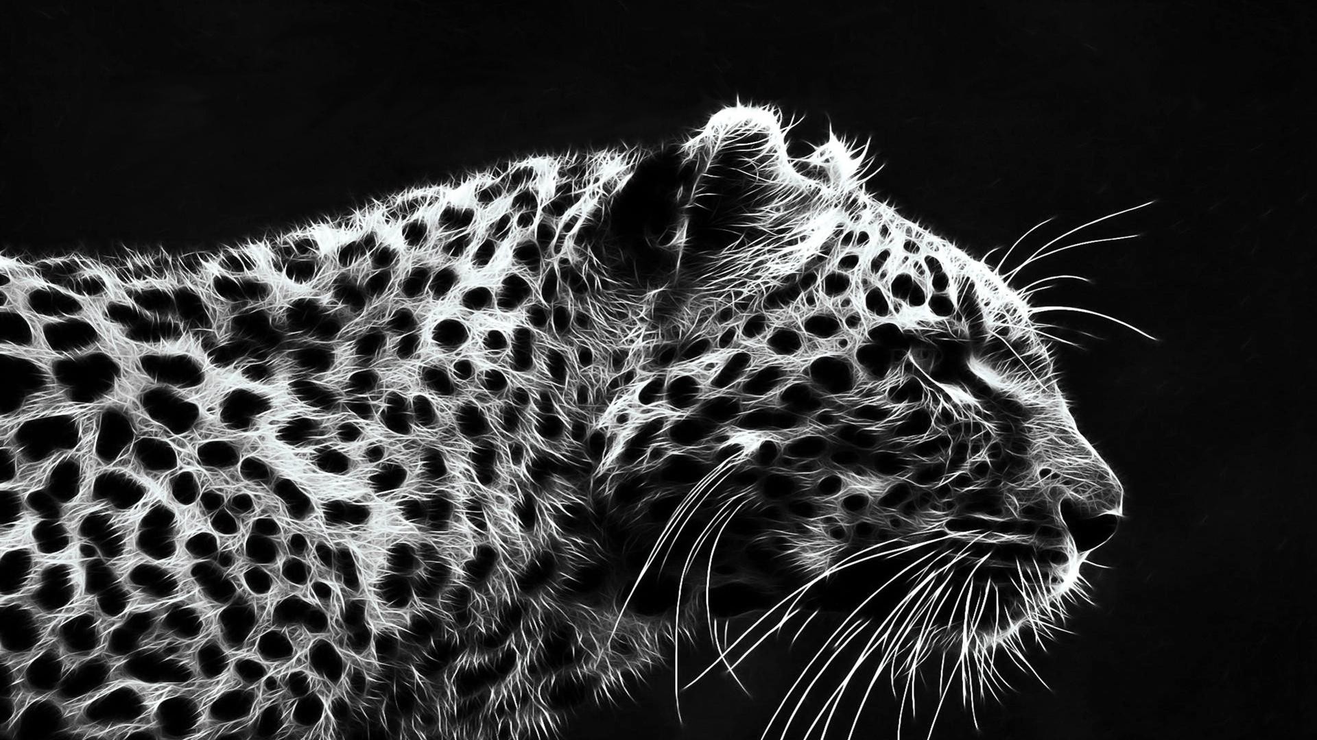 Black and White Animal Wallpaper (67+ pictures)