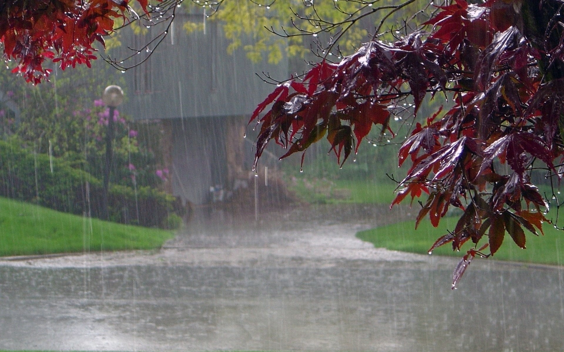 Beautiful Rain, rainfall HD wallpaper | Pxfuel