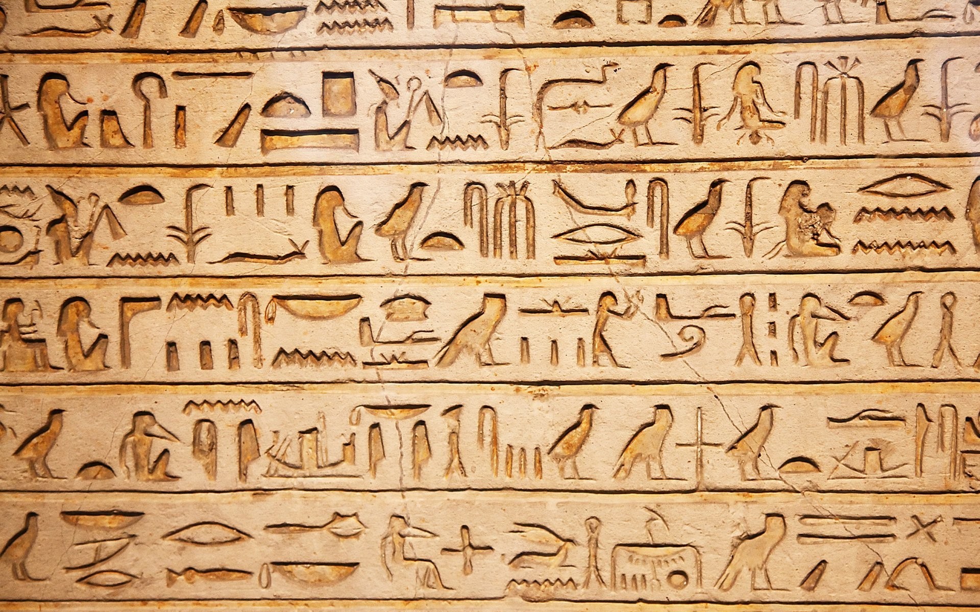 4536300 archeology Egypt symbols hieroglyphics writing  Rare Gallery  HD Wallpapers