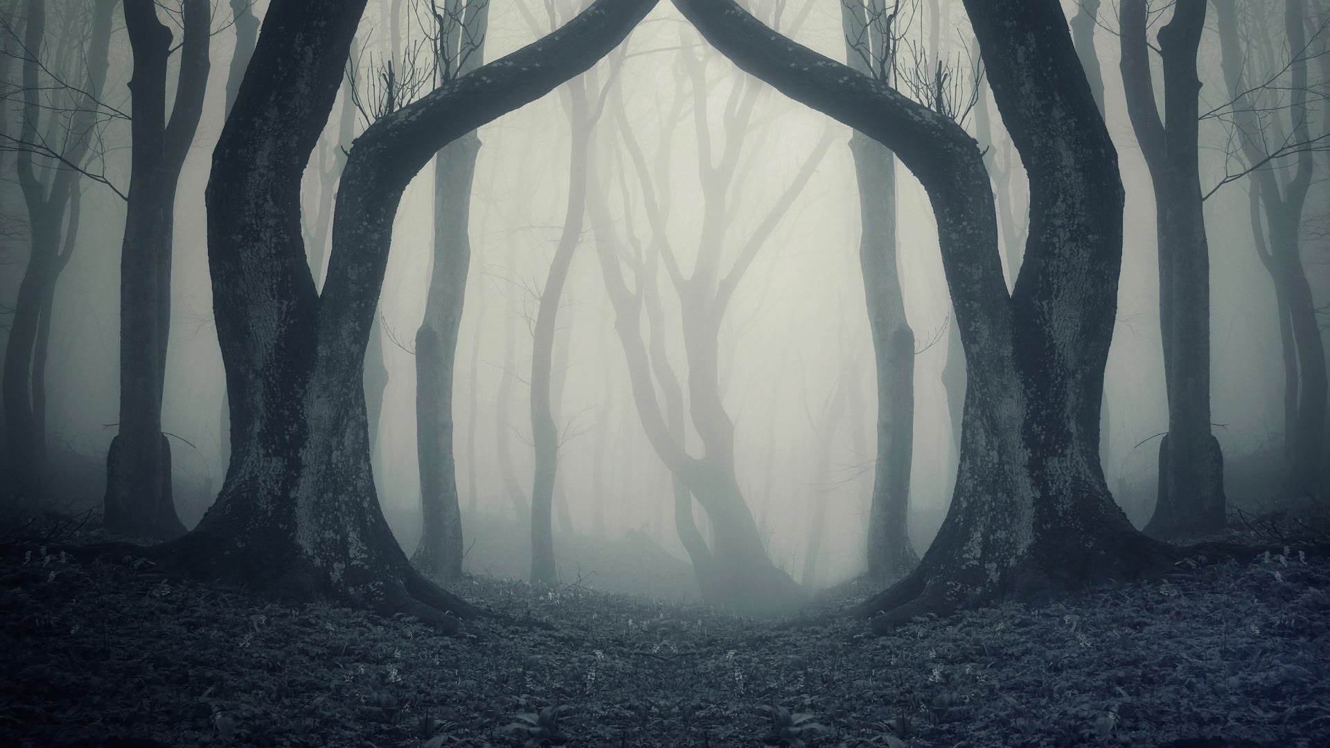 Creepy Background Pictures (63+ pictures)