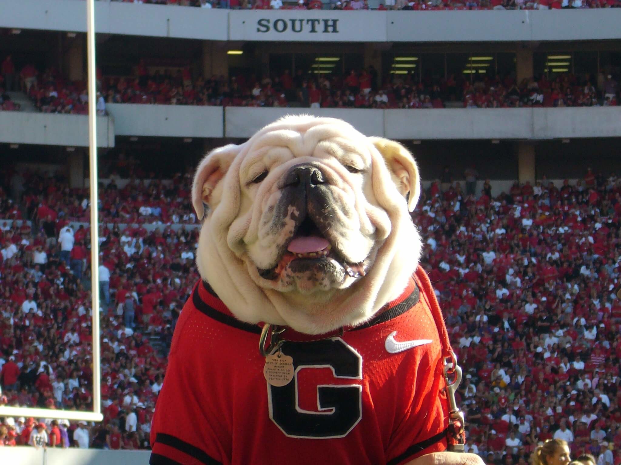 Georgia Bulldogs Wallpapers (48+ pictures)