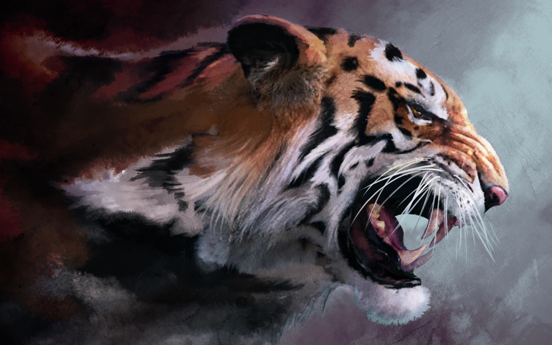 Beautiful Tiger Sleeping in Jungle HD Desktop Background Wallpaper  HD  Wallpapers