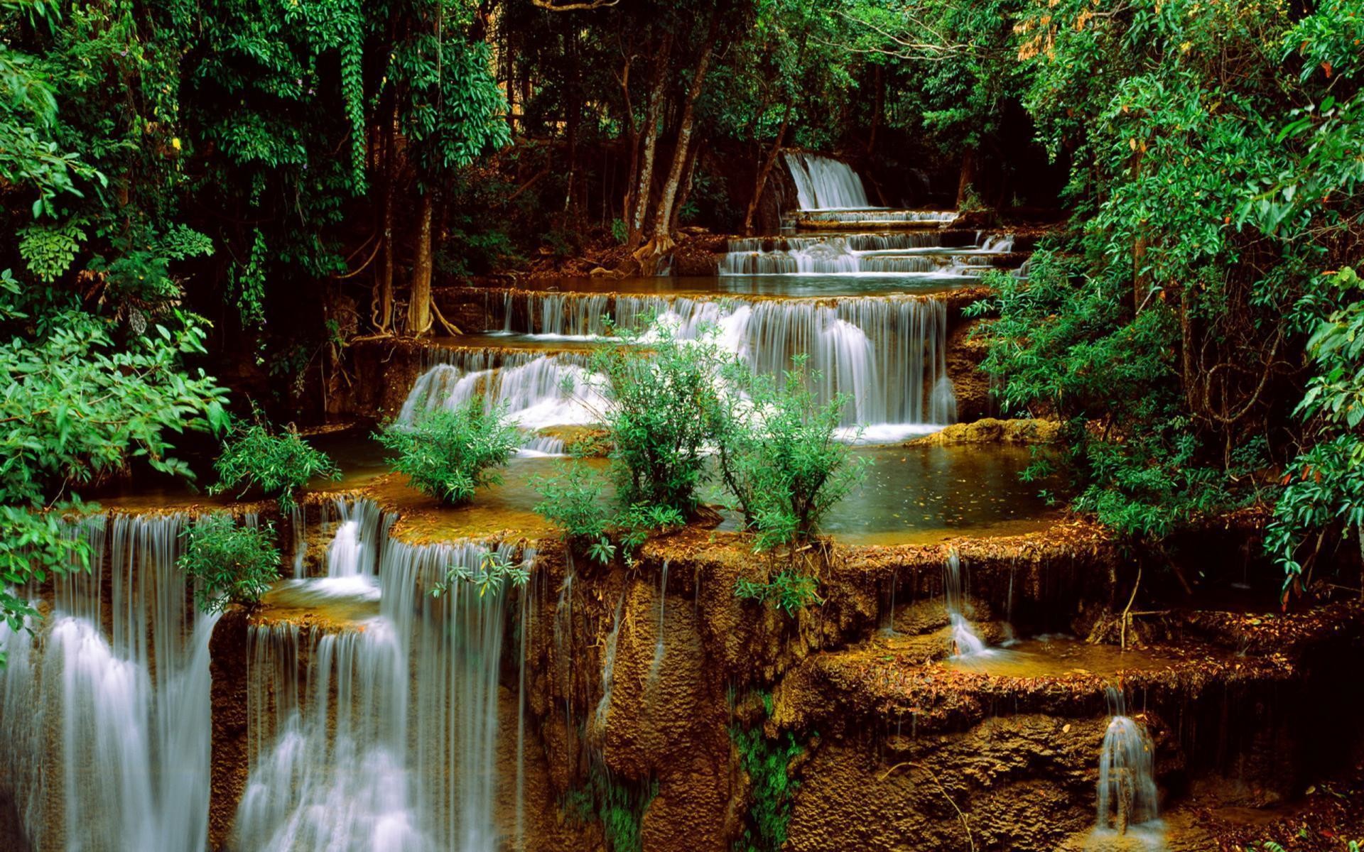 exotic waterfall background