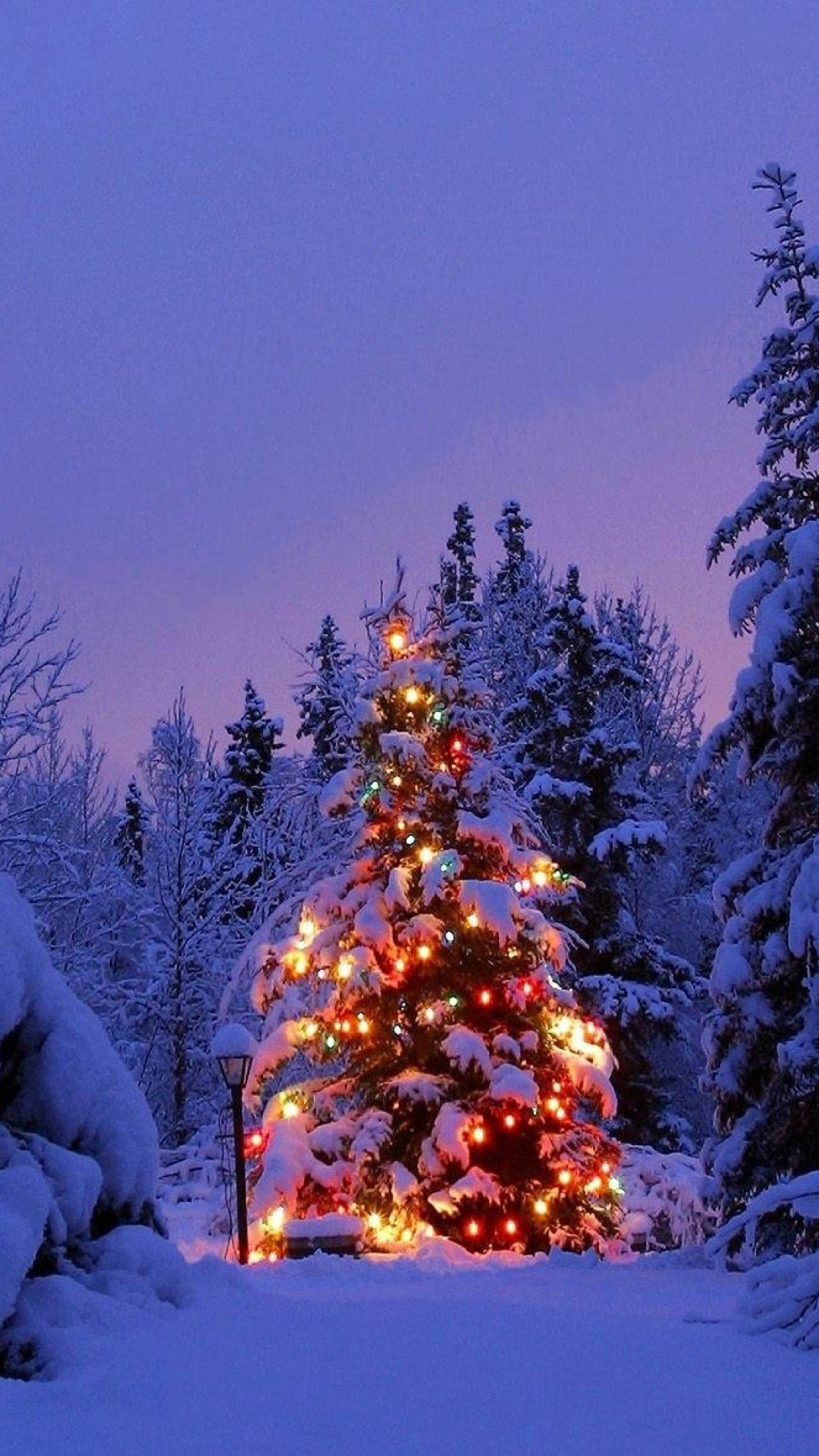 Christmas Tree Desktop Backgrounds (64+ pictures)
