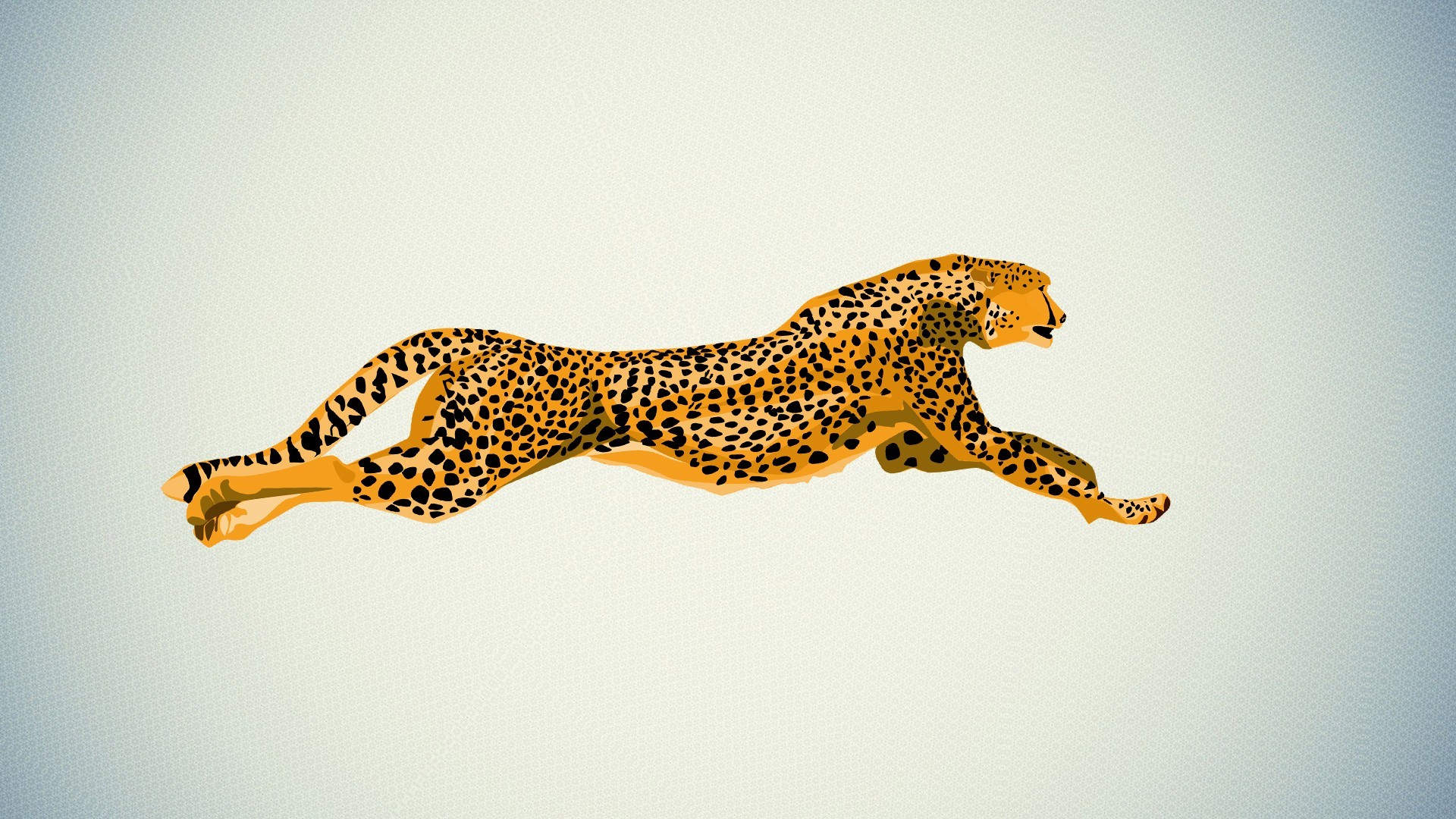 Cheetah Wallpaper.
