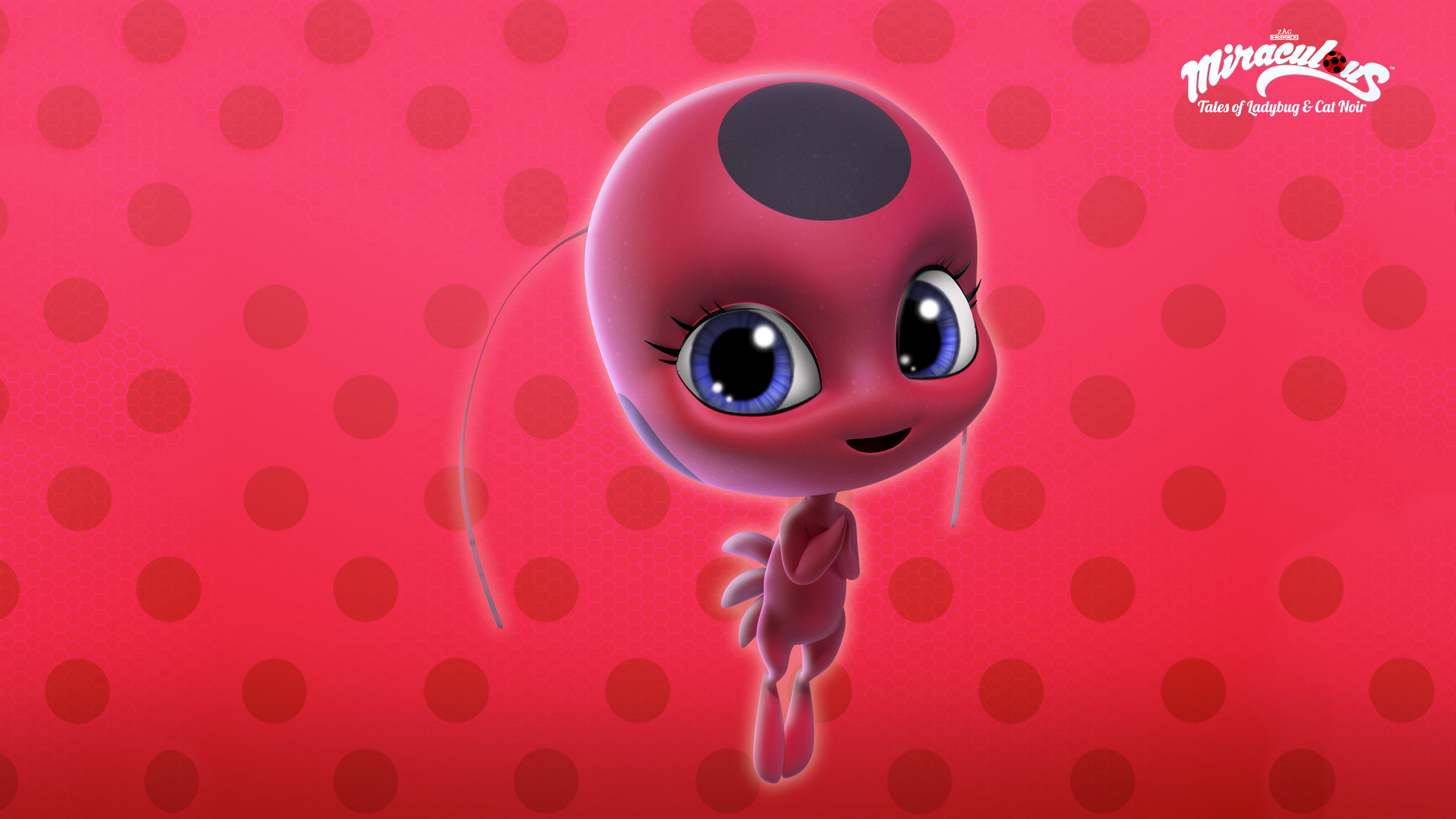 miraculous tales of ladybug cat noir wallpapers 64 pictures