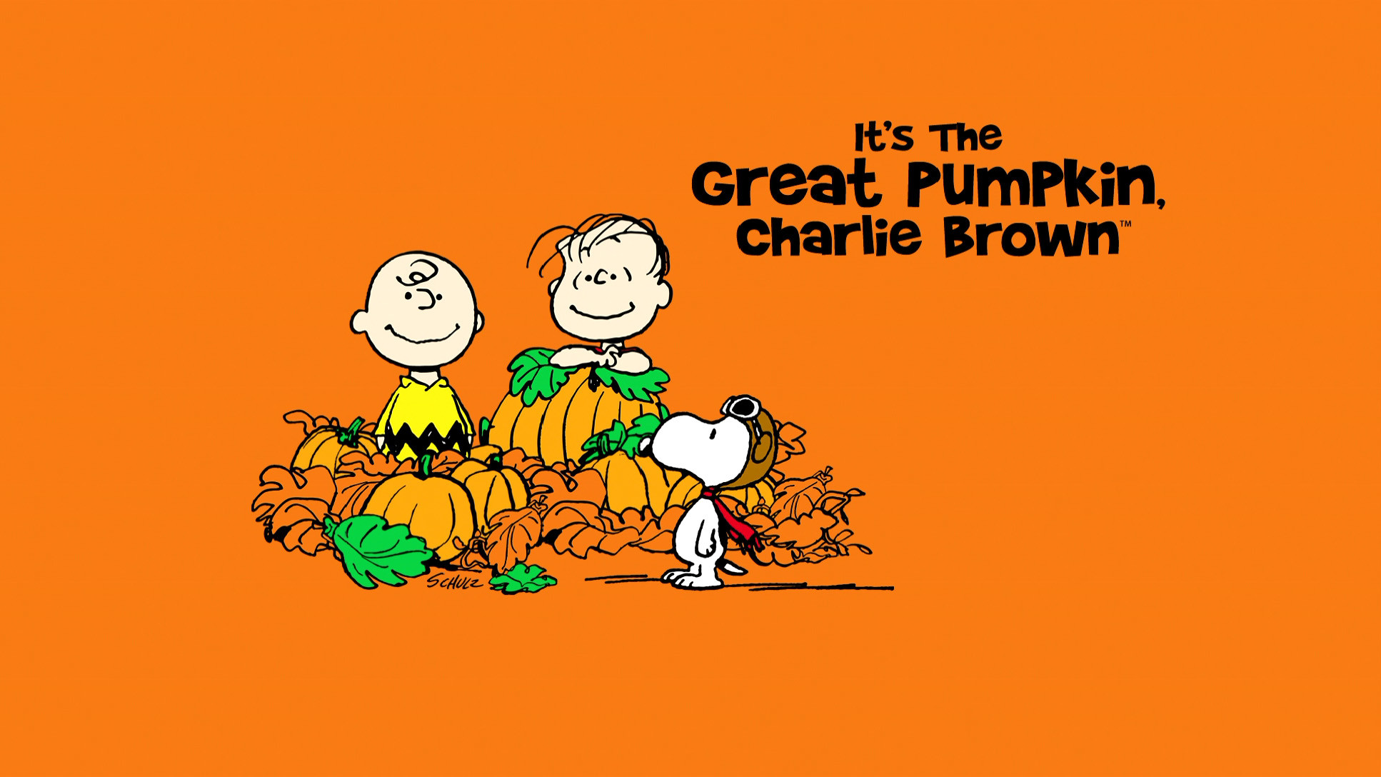 Charlie Brown Backgrounds 48 pictures