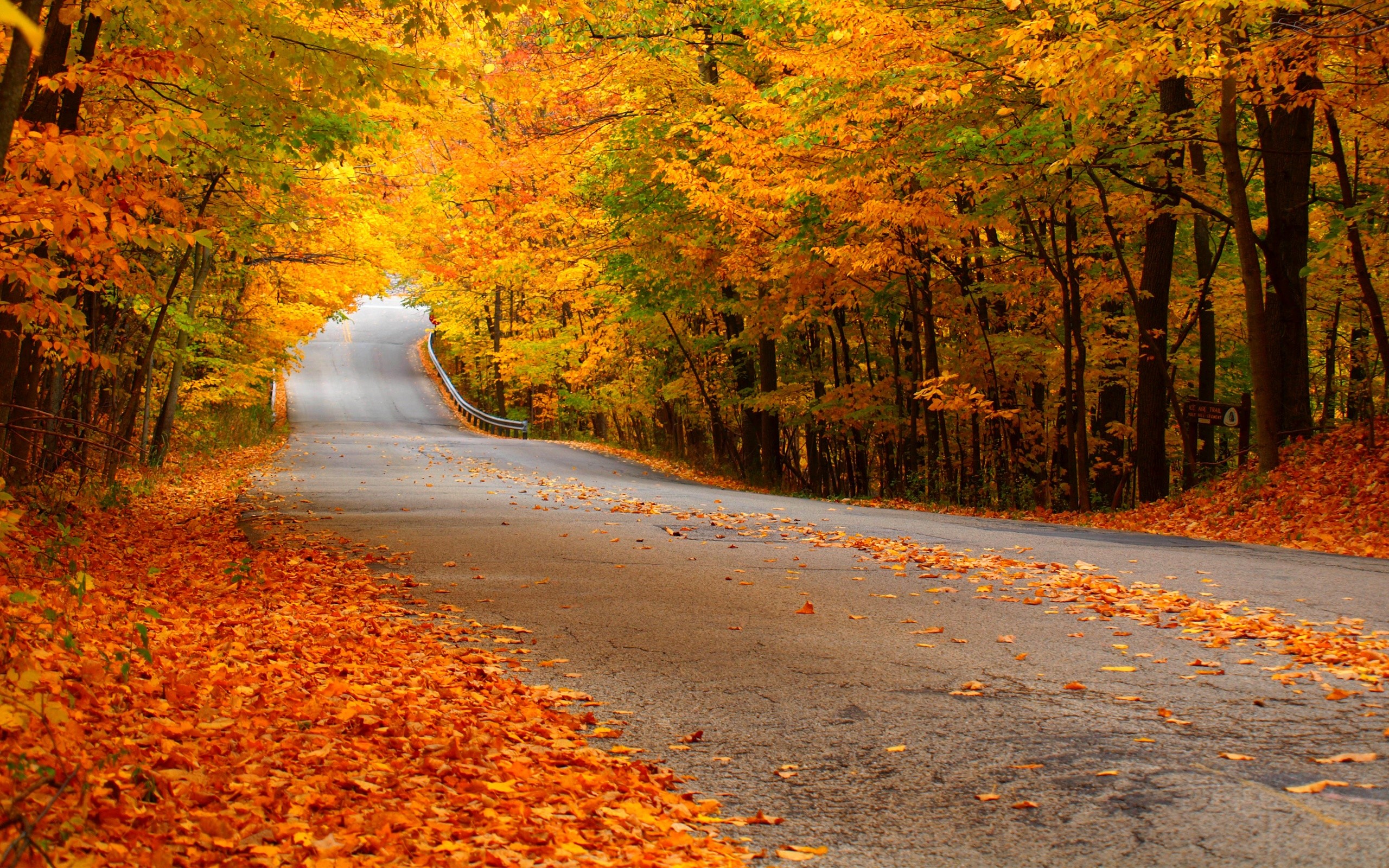 Download and View Full Size Photo 2560x1600