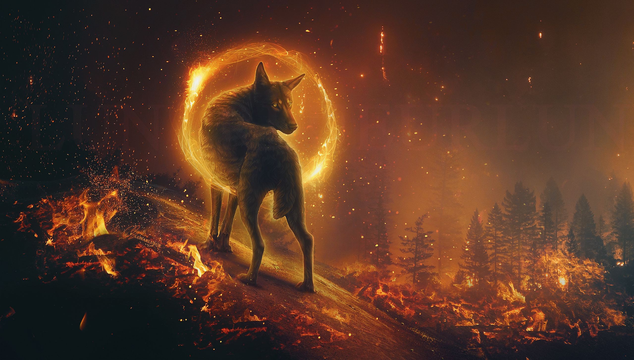 Аудиокнига последняя жизнь 4 пламя севера. Огненный волк Пандемониум. Огненная лисица Кицунэ. Северное сияние - огонь Семаргла. Магический волк.