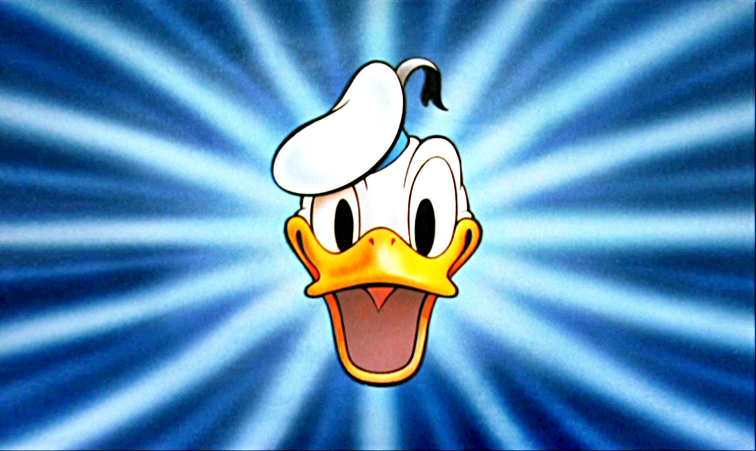 Donald duck funny HD wallpaper  Peakpx