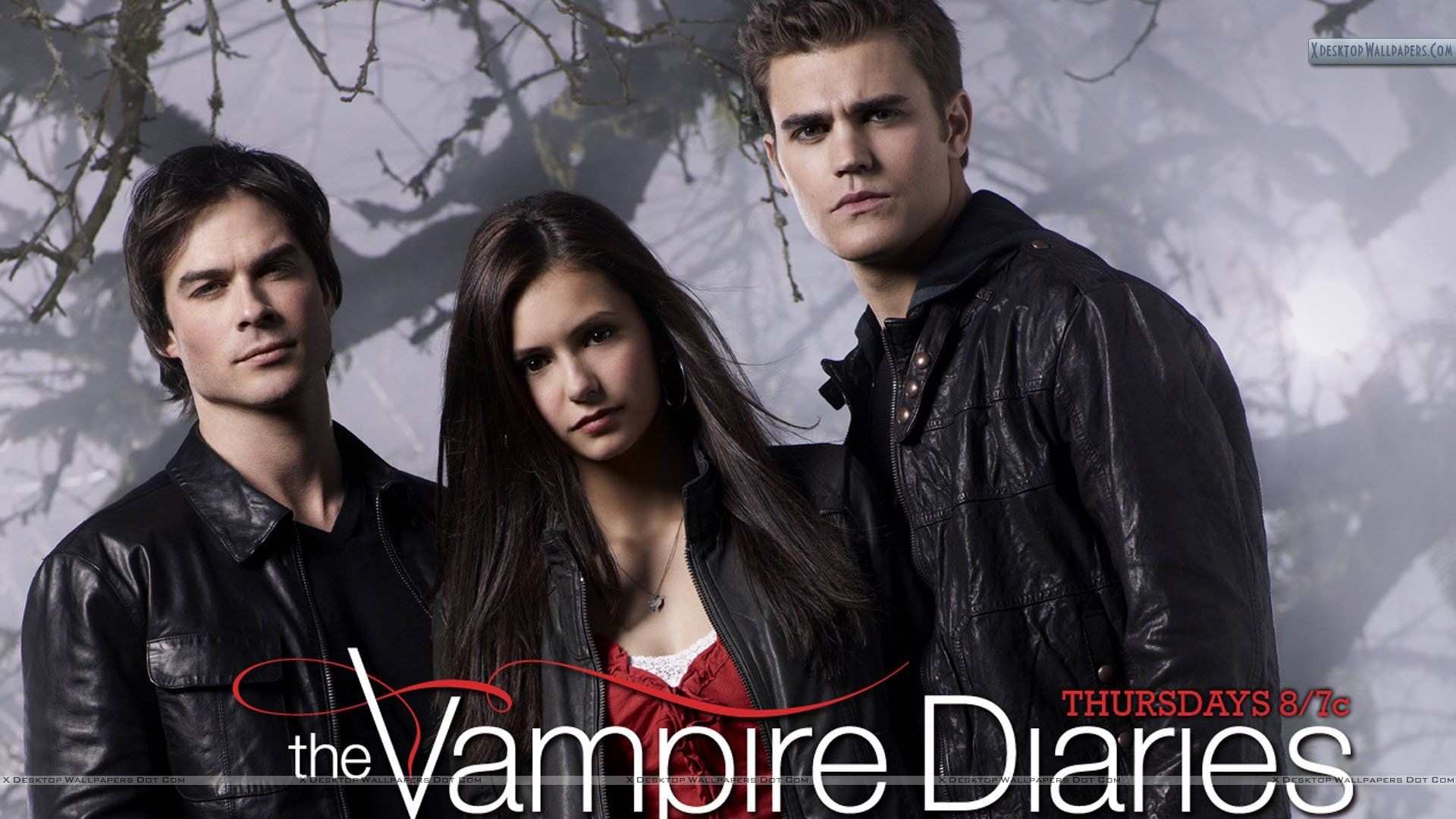 Vampire Diaries Wallpaper Damon and Elena (75+ pictures)