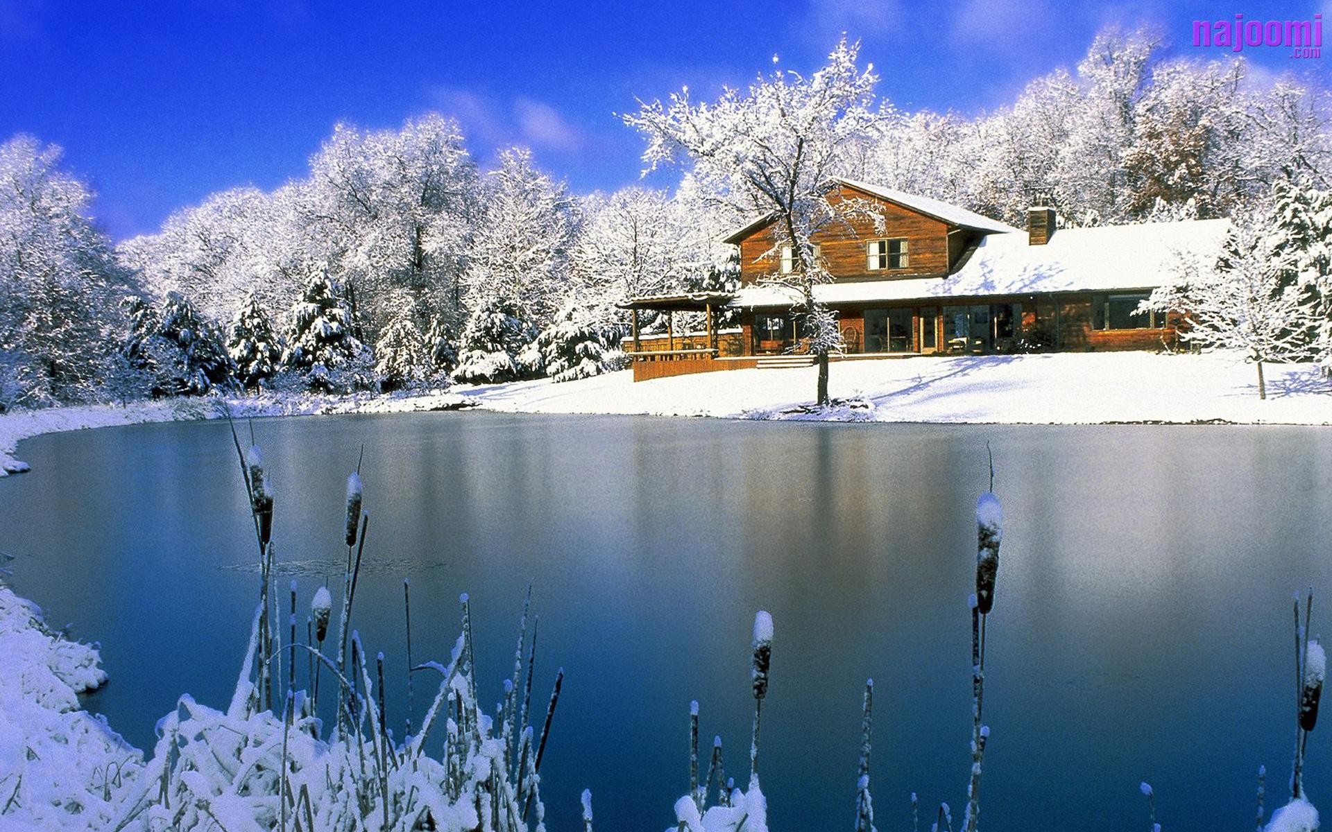 Beautiful Snowfall Wallpaper 1920x1200