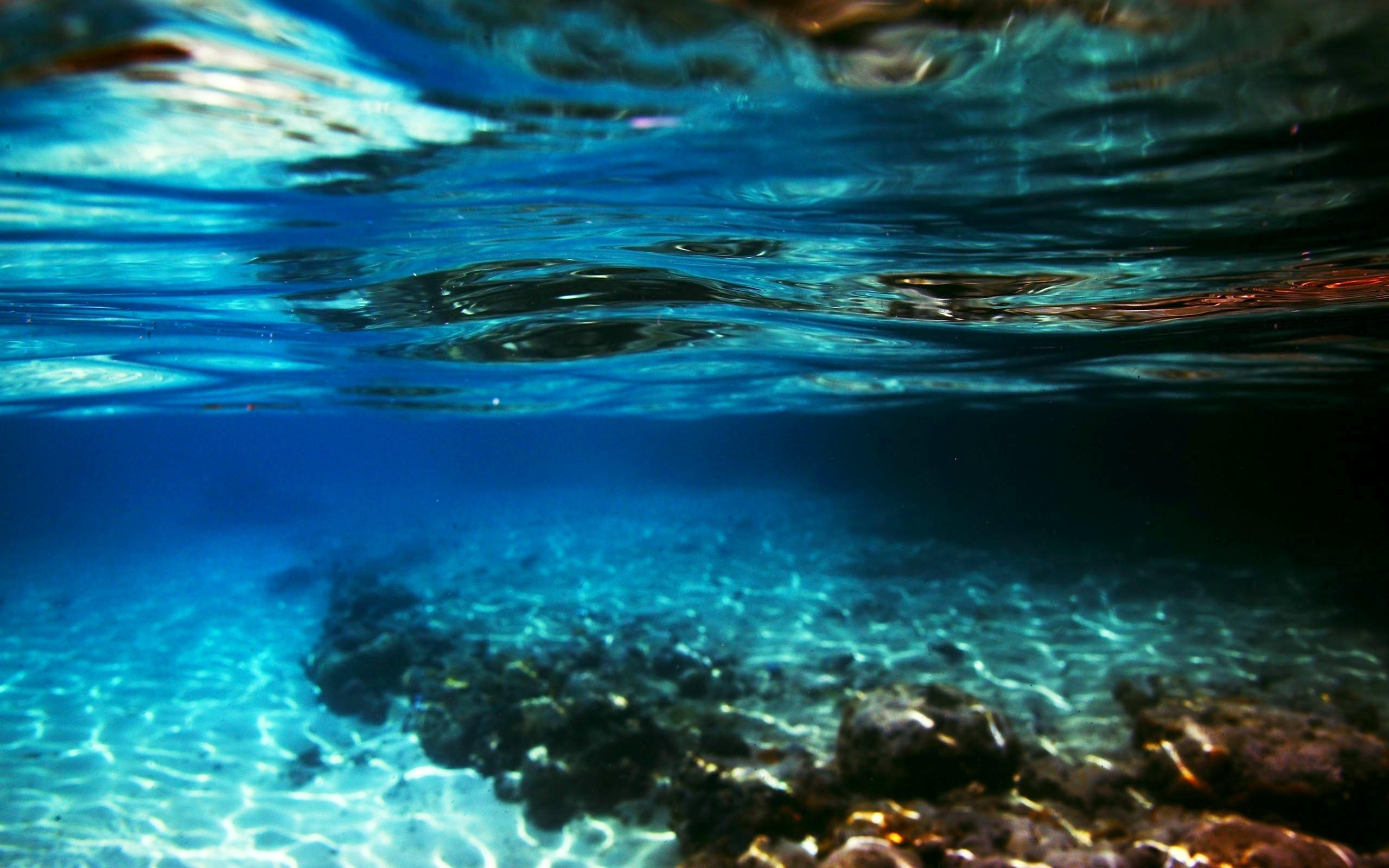 Cùng tìm hiểu về hình nền dưới nước đẹp mắt. Hình ảnh liên quan sẽ khiến bạn say đắm trong không gian đầy màu sắc của đại dương, cùng với những loài sinh vật đa dạng.