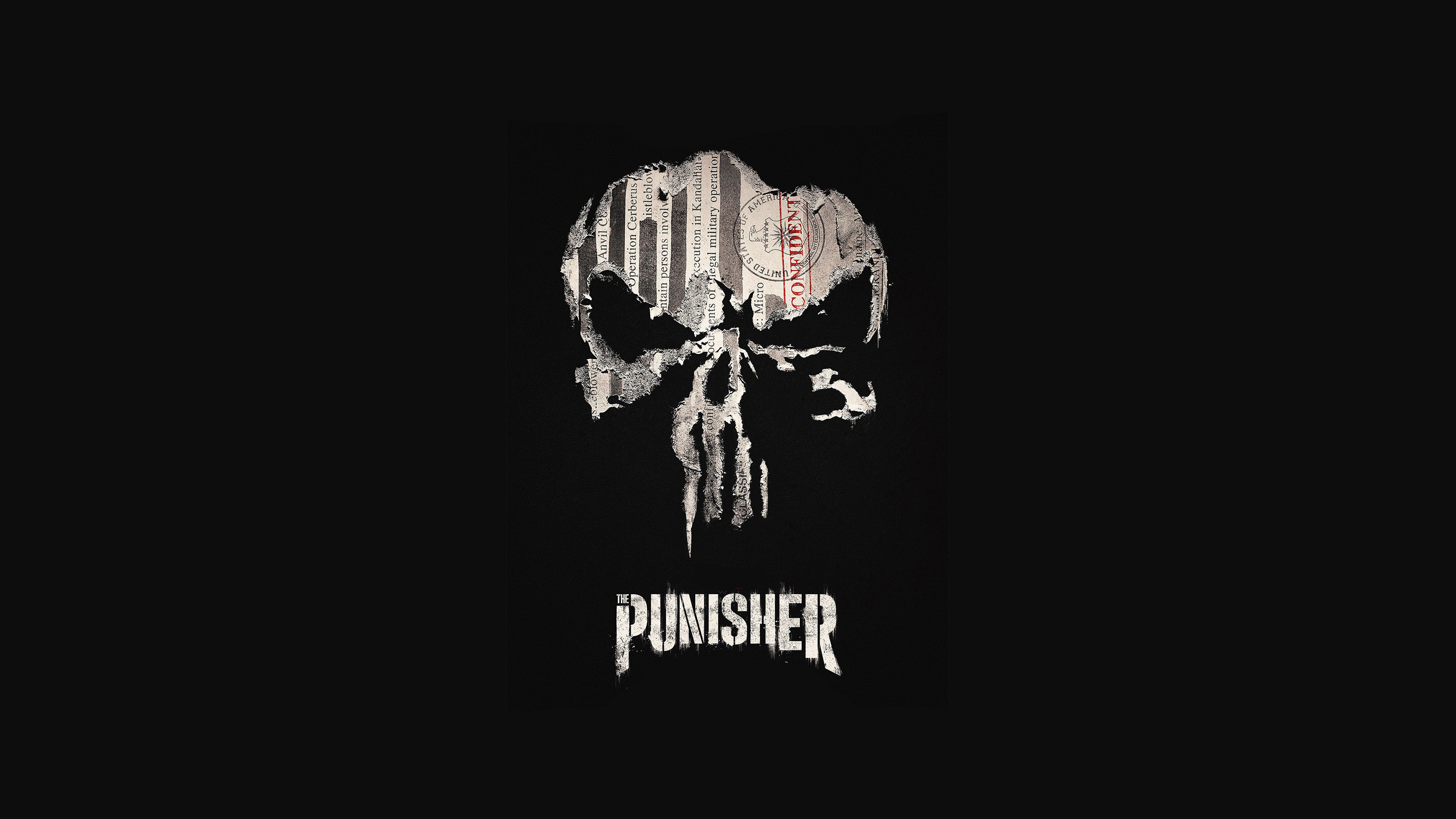 Download The Punisher Skull wallpaper by Coldsteel7899 - 15 - Free