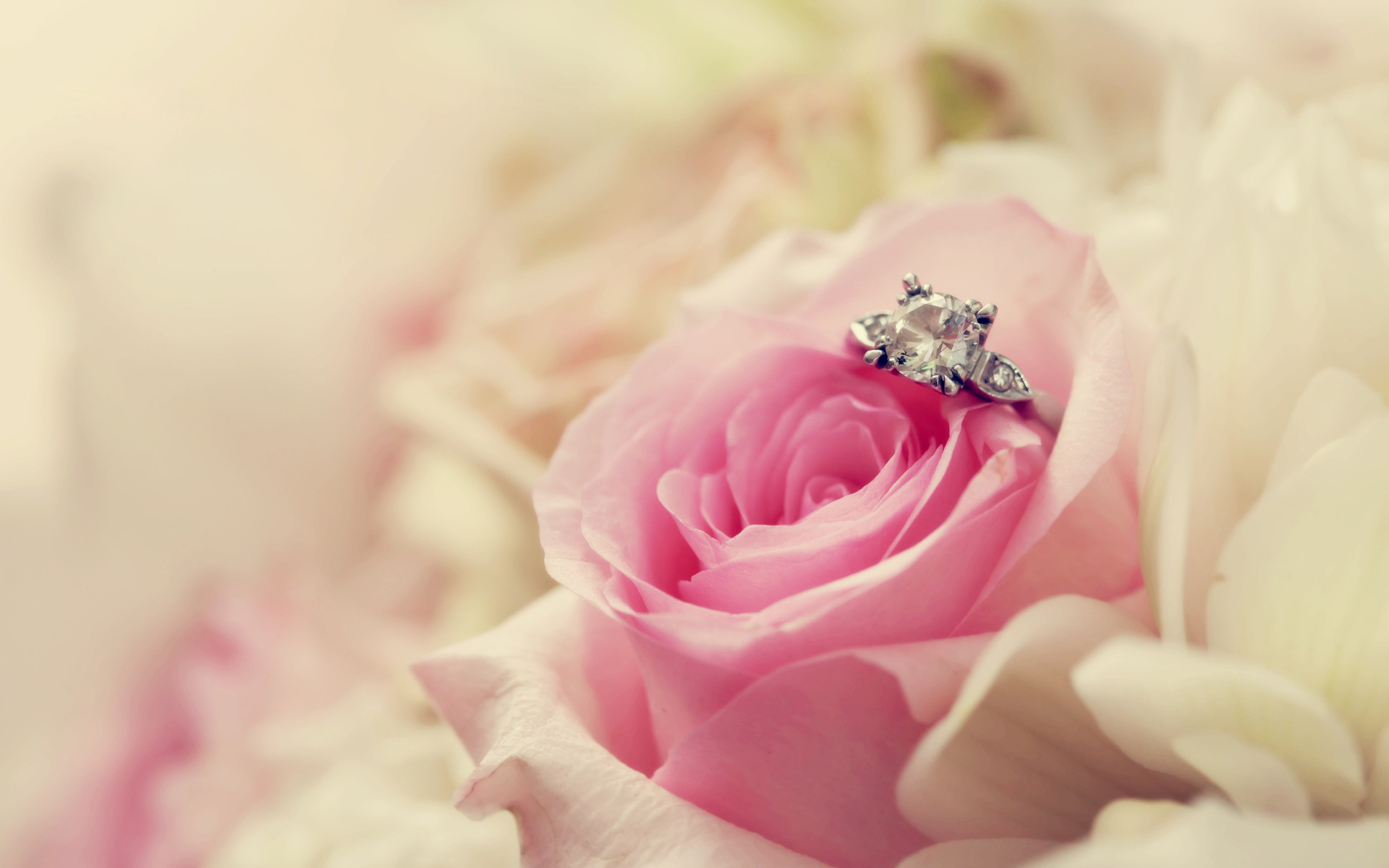 Holiday - Wedding Flower Ring Wallpaper 1920x1200