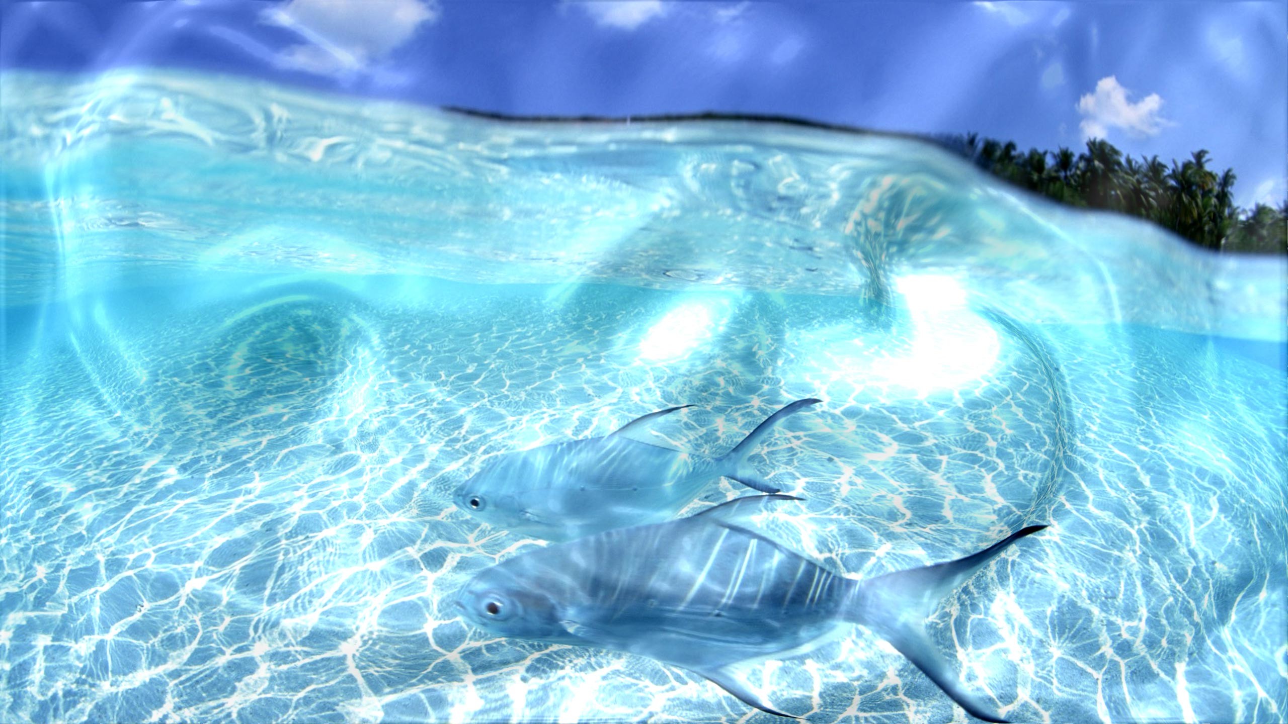 Water Desktop Wallpaper 75 Pictures