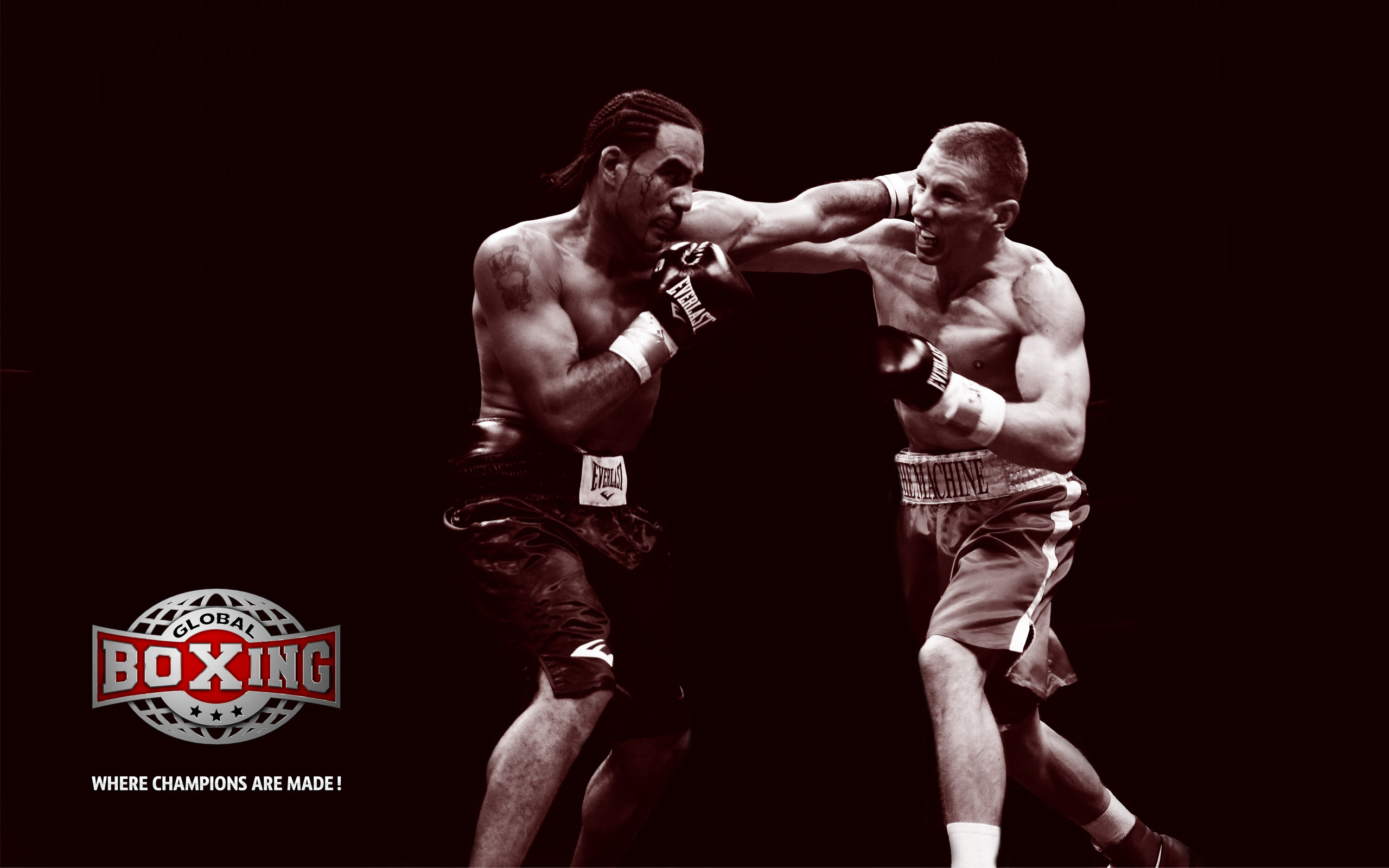 MMA Wallpaper (63+ pictures)