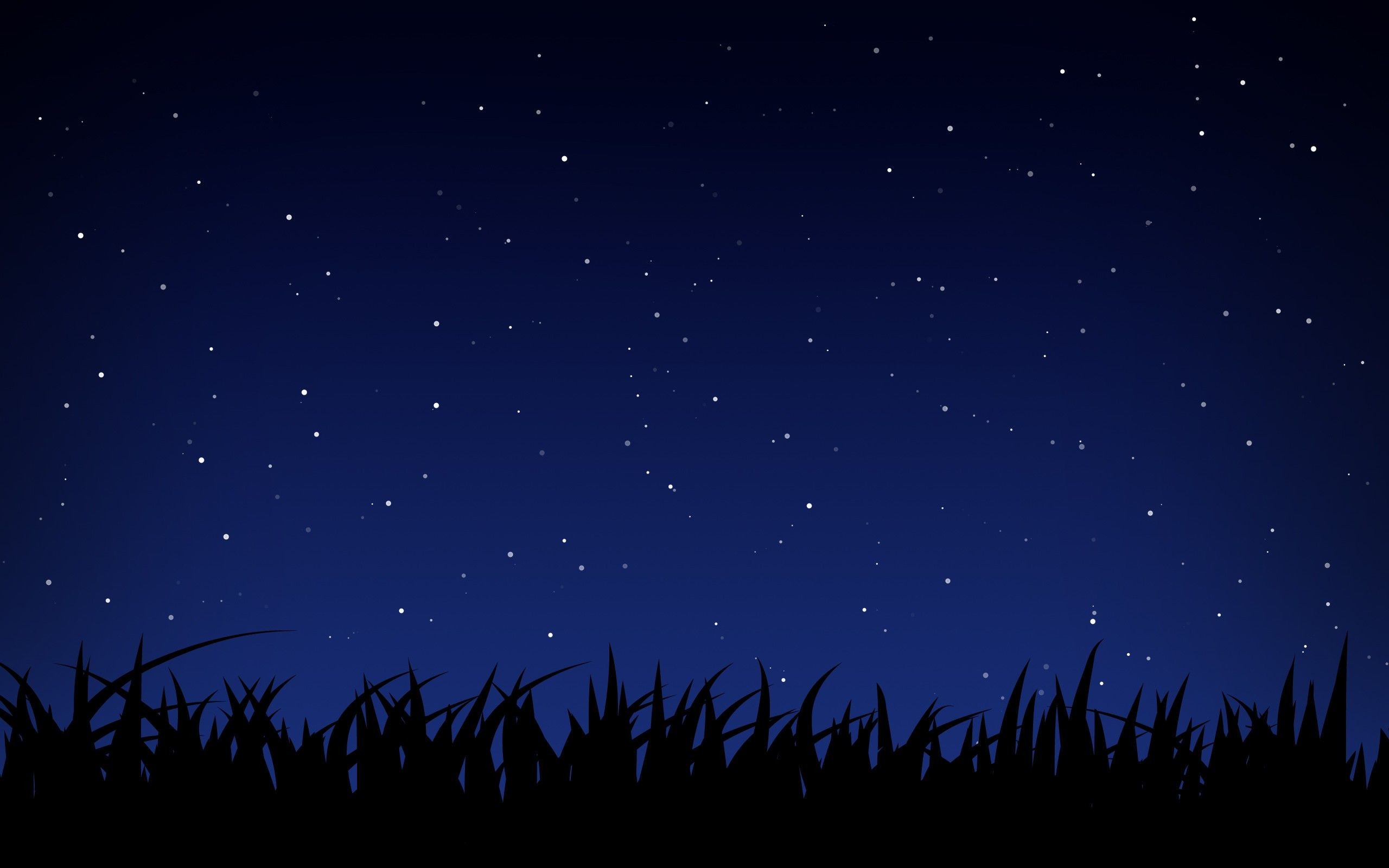 Anime Starry Night Sky Wallpapers Phone 2560x1600