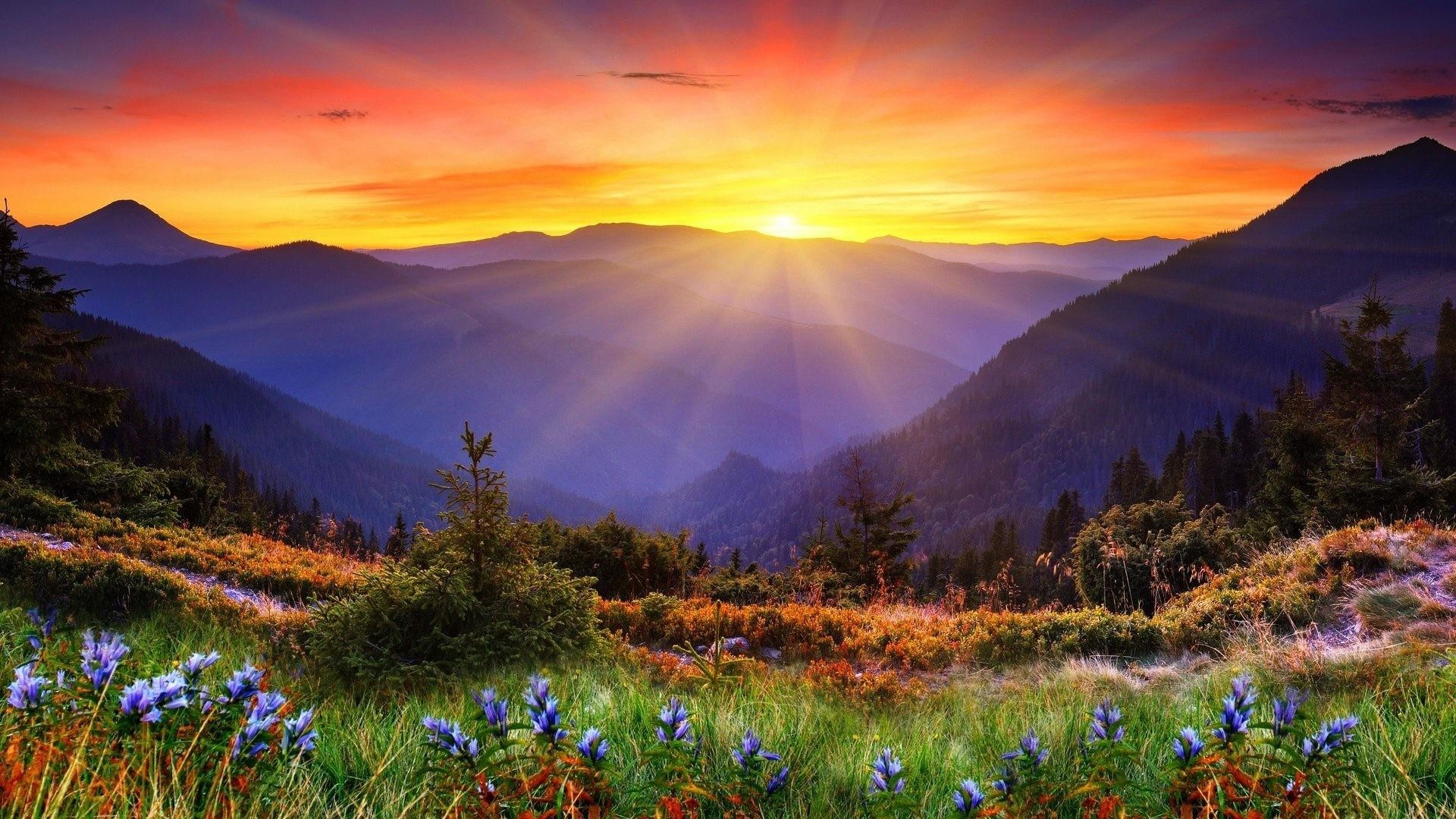 panoramic desktop wallpaper #65460 1920x1080