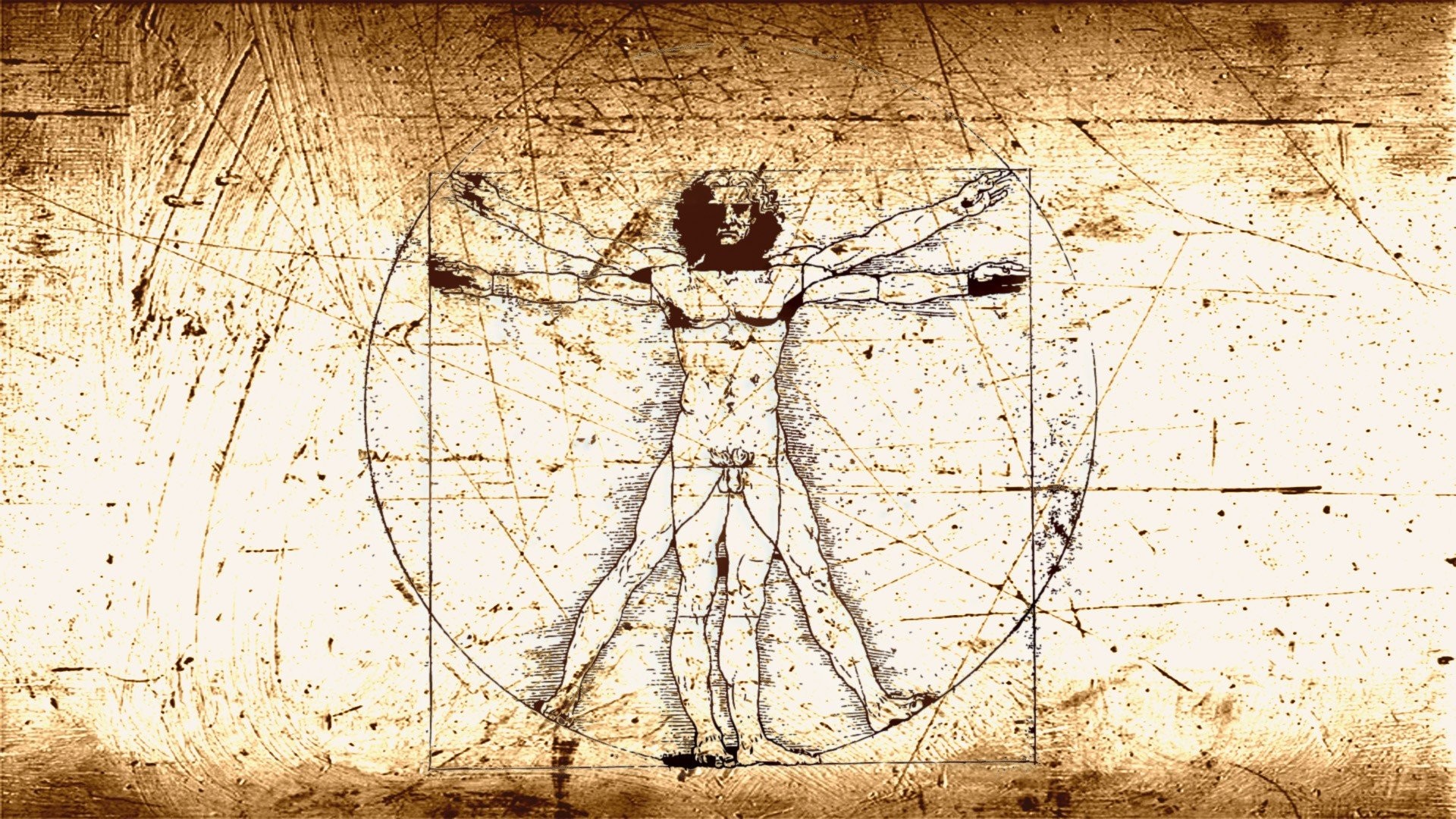 Leonardo Da Vinci Wallpaper (56+ pictures)