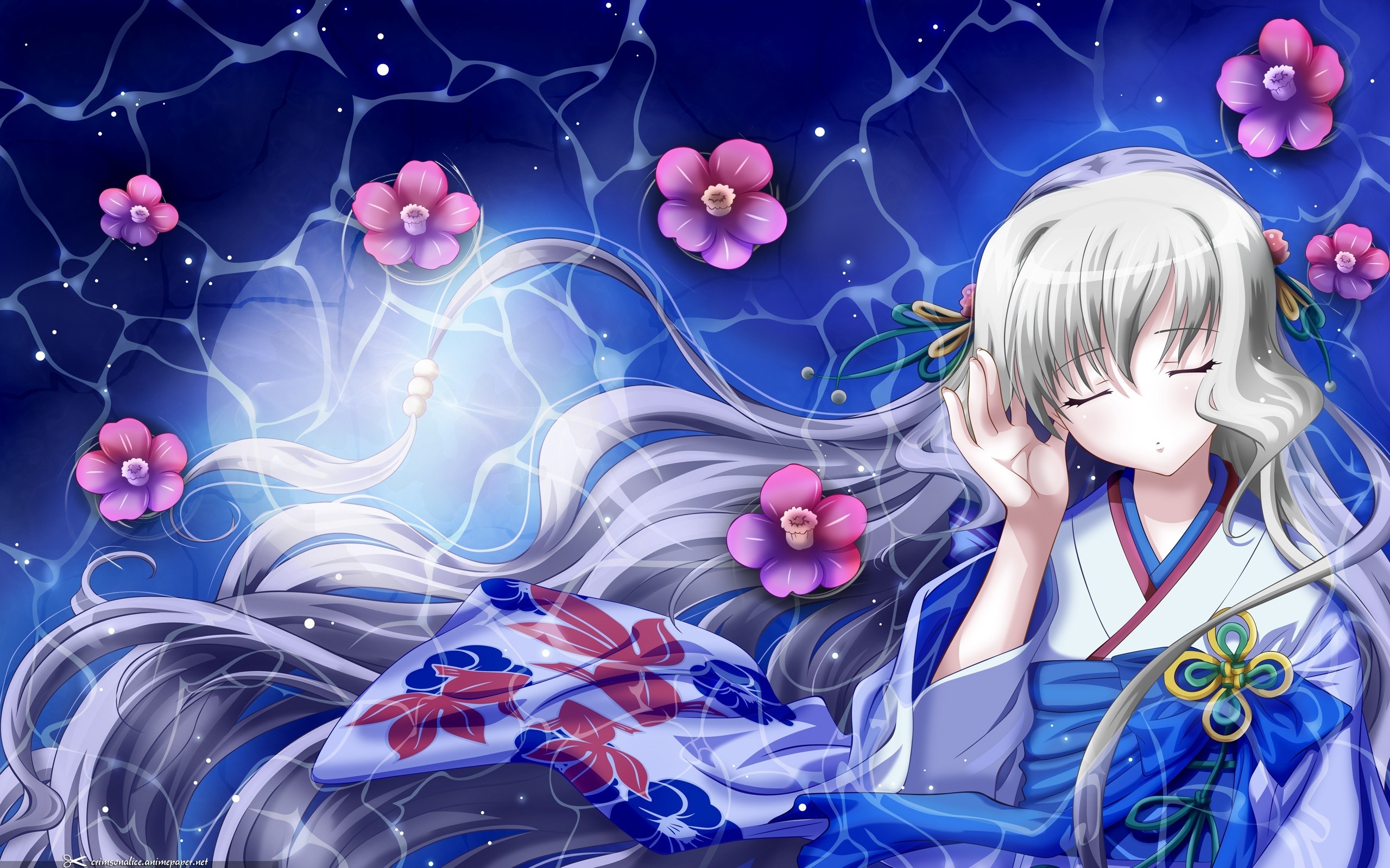 Otaku 4ever equal! images =D HD wallpaper and background photos 2560x1600
