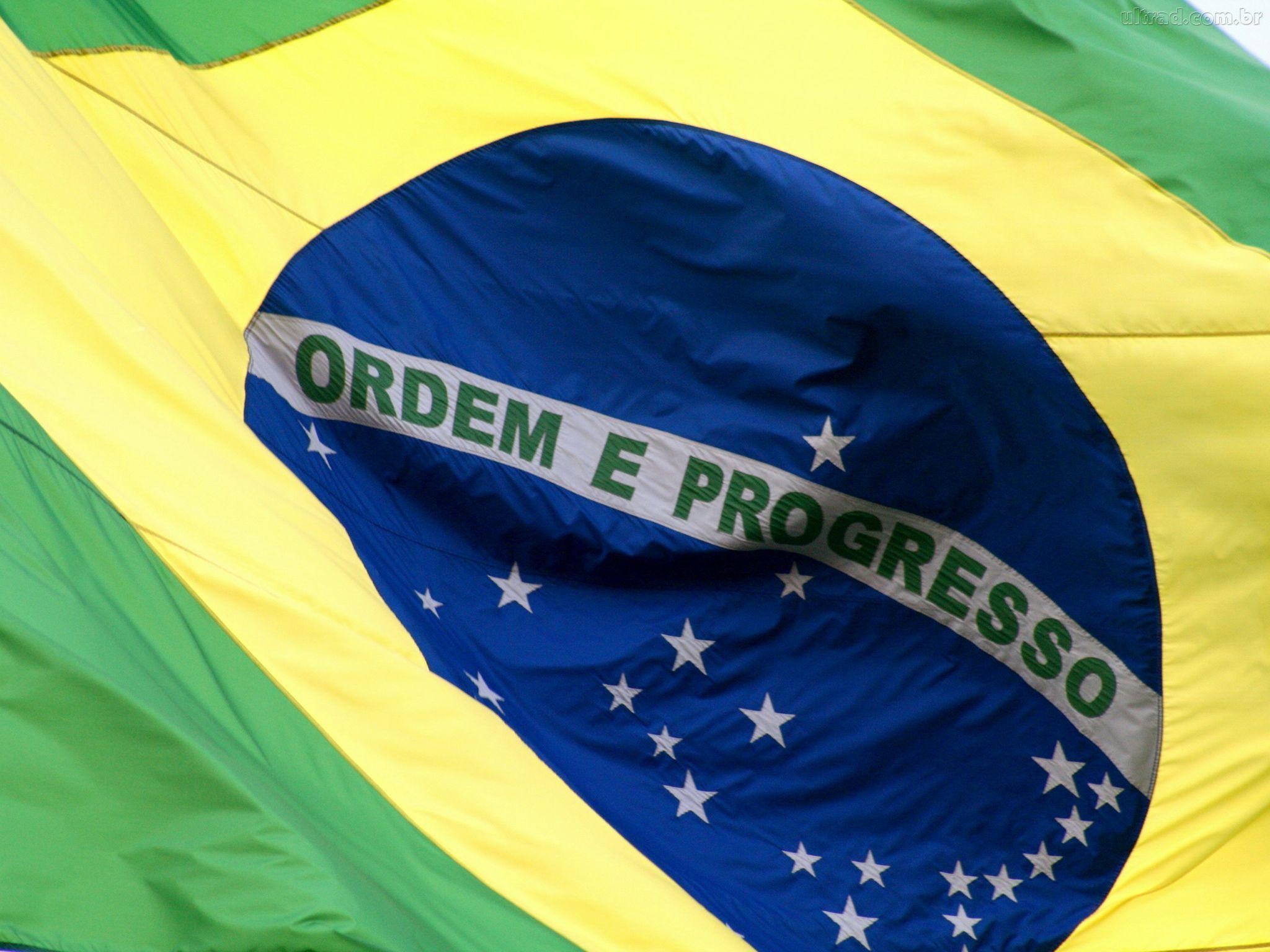 Raiva no brasil ilysam. Федеративная Республика Бразилия. Флаг Бразилии. Бразильцы на фоне флага. Парчами Бразилия.