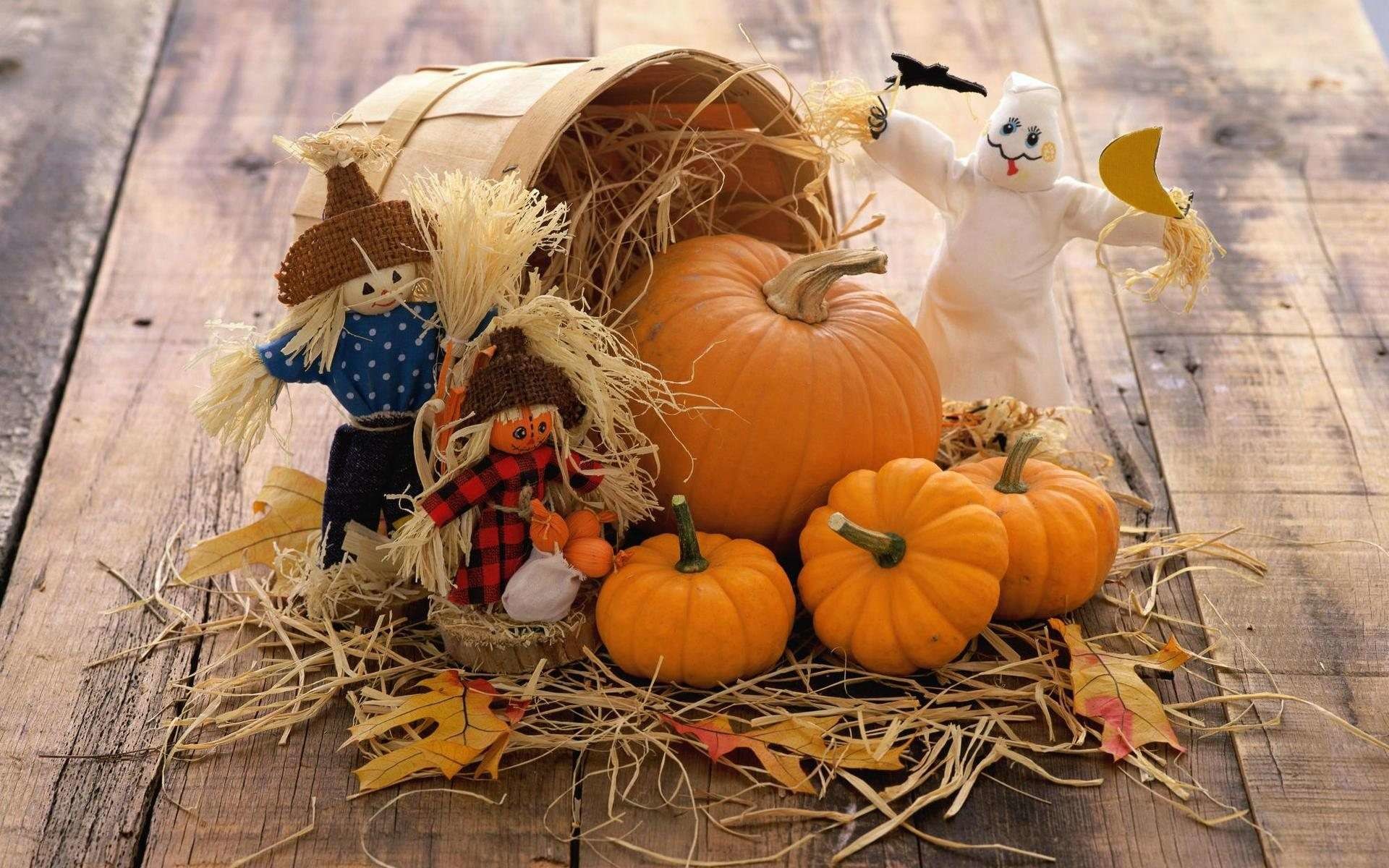 Thanksgiving Pumpkin Wallpapers  Top Free Thanksgiving Pumpkin Backgrounds   WallpaperAccess