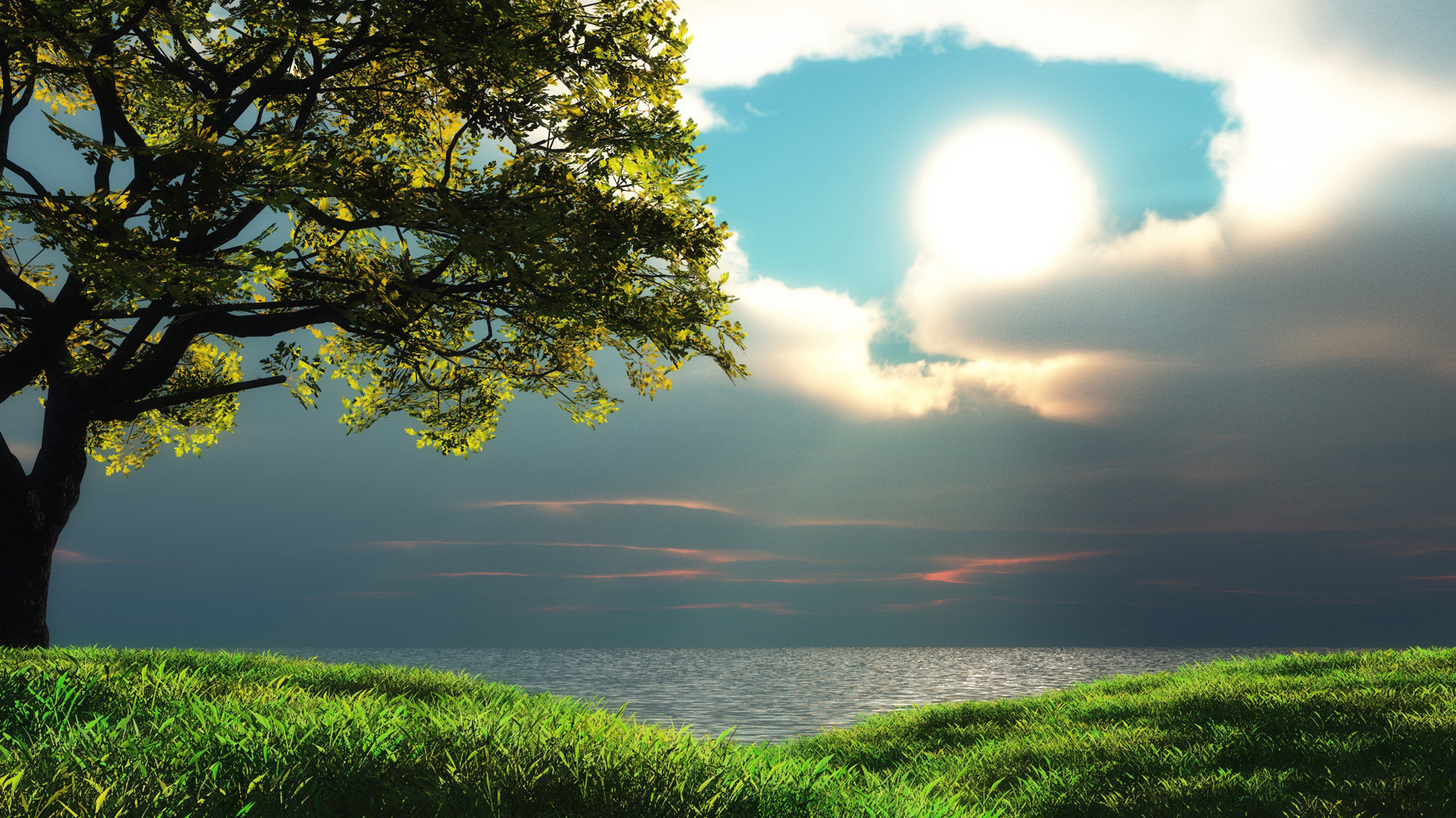 HD Nature Wallpapers 1080p 74 Pictures WallpaperSet