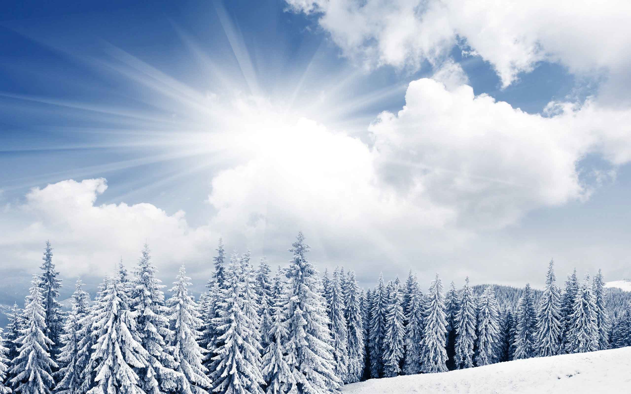 Snow Scenery Wallpaper (64+ pictures)